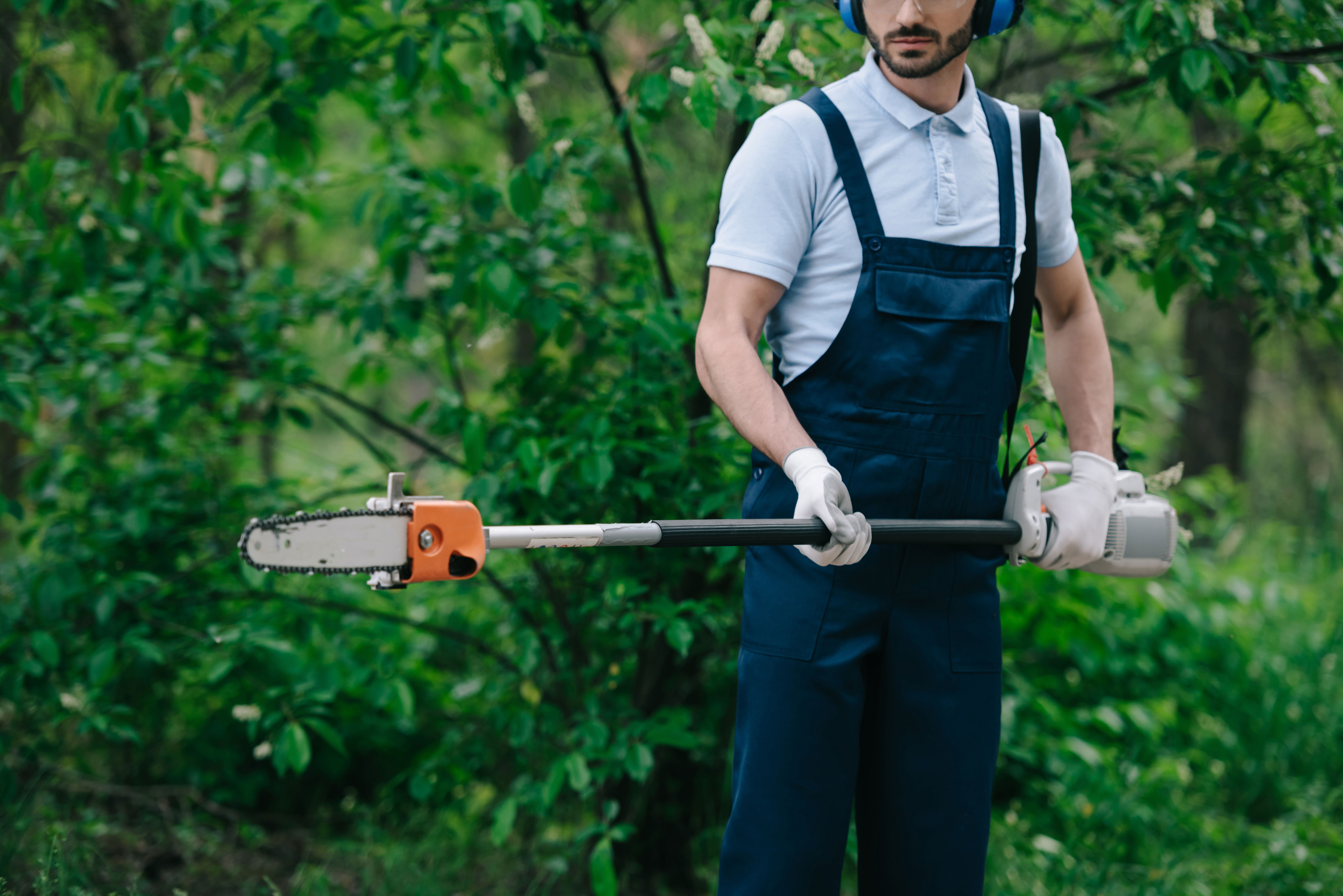 A man pruning a tree