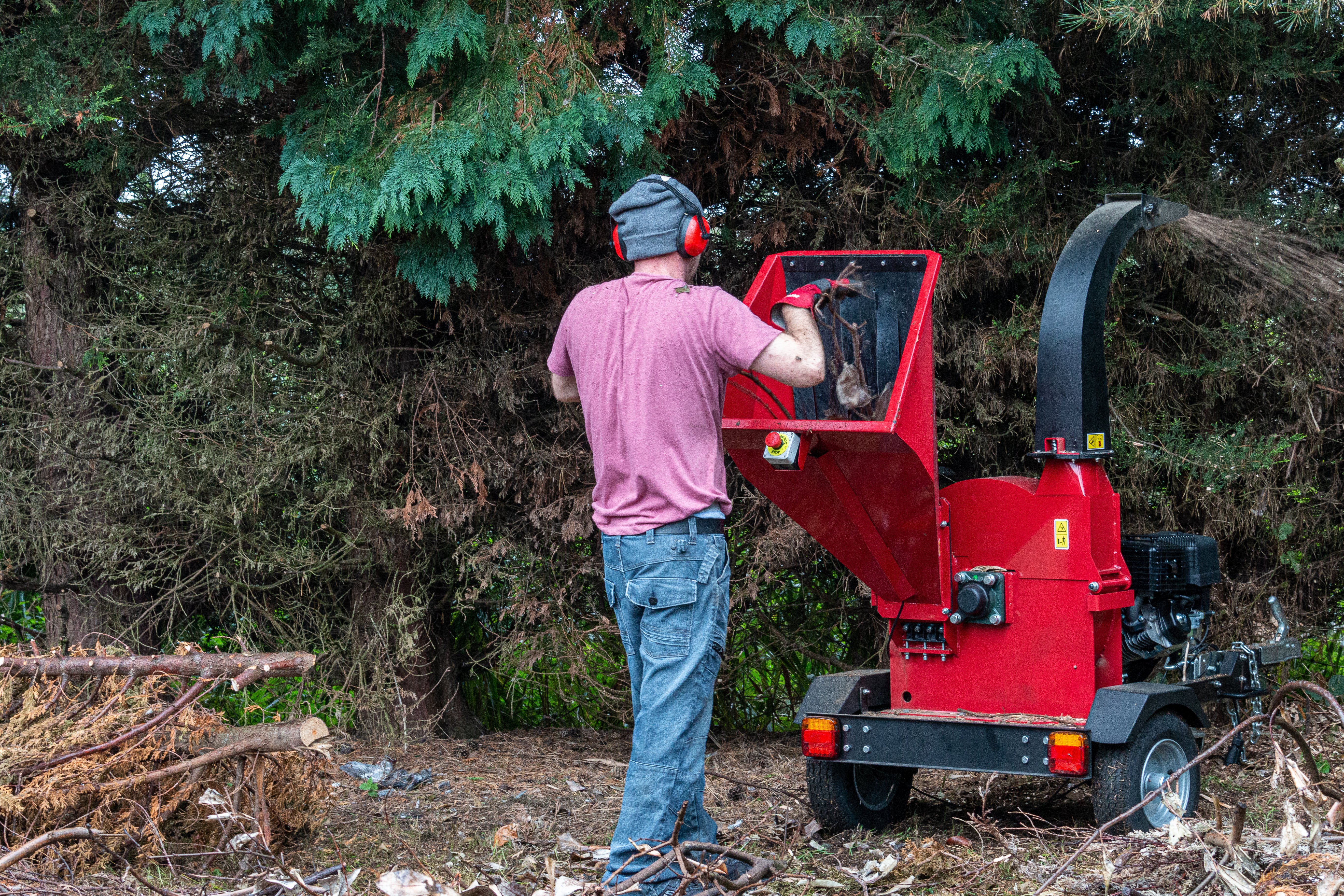 A man using a wood chipper to dispose of a tree