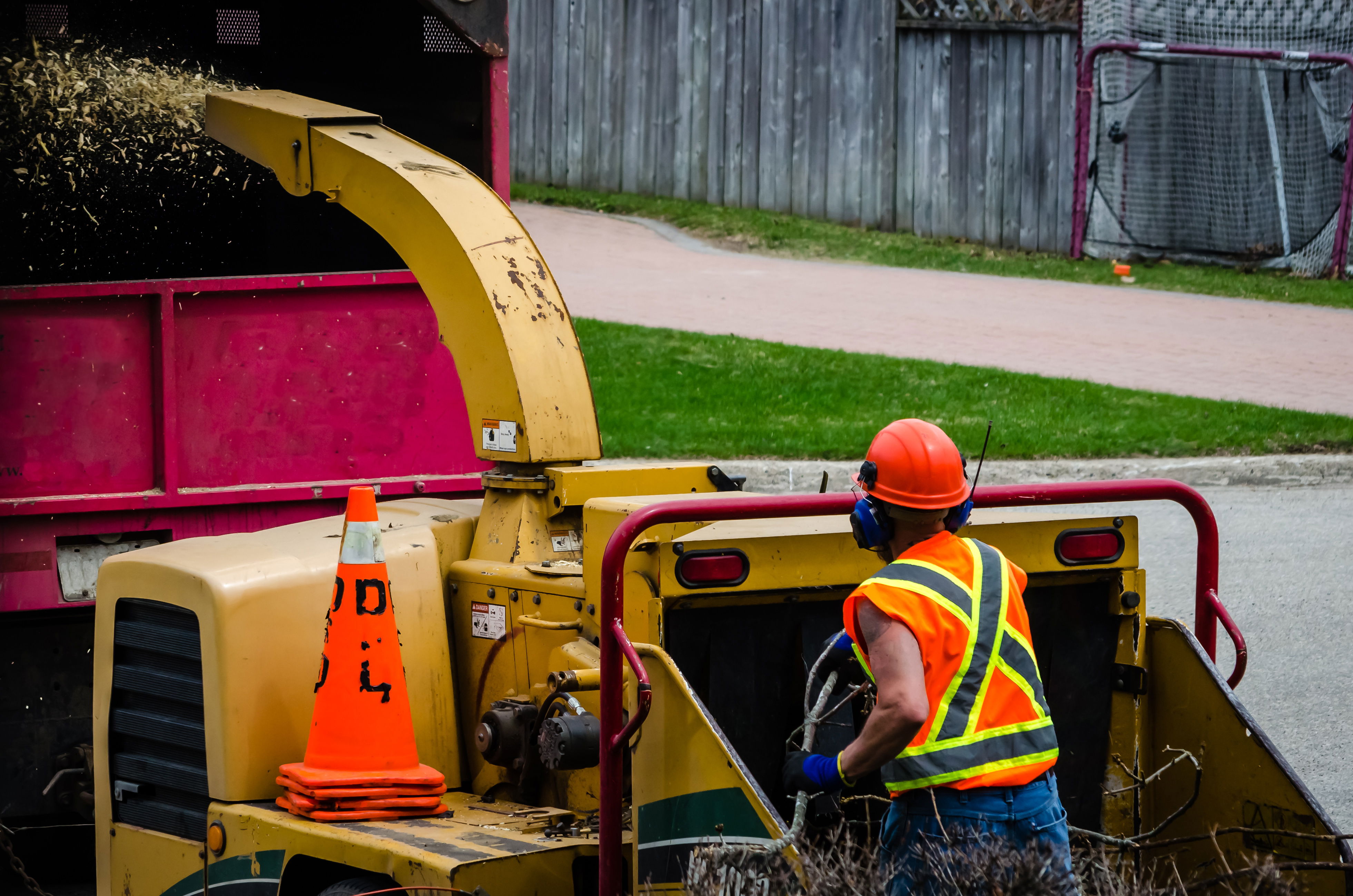 A worker using a wood chipper to dispose of a tree that was recently removed