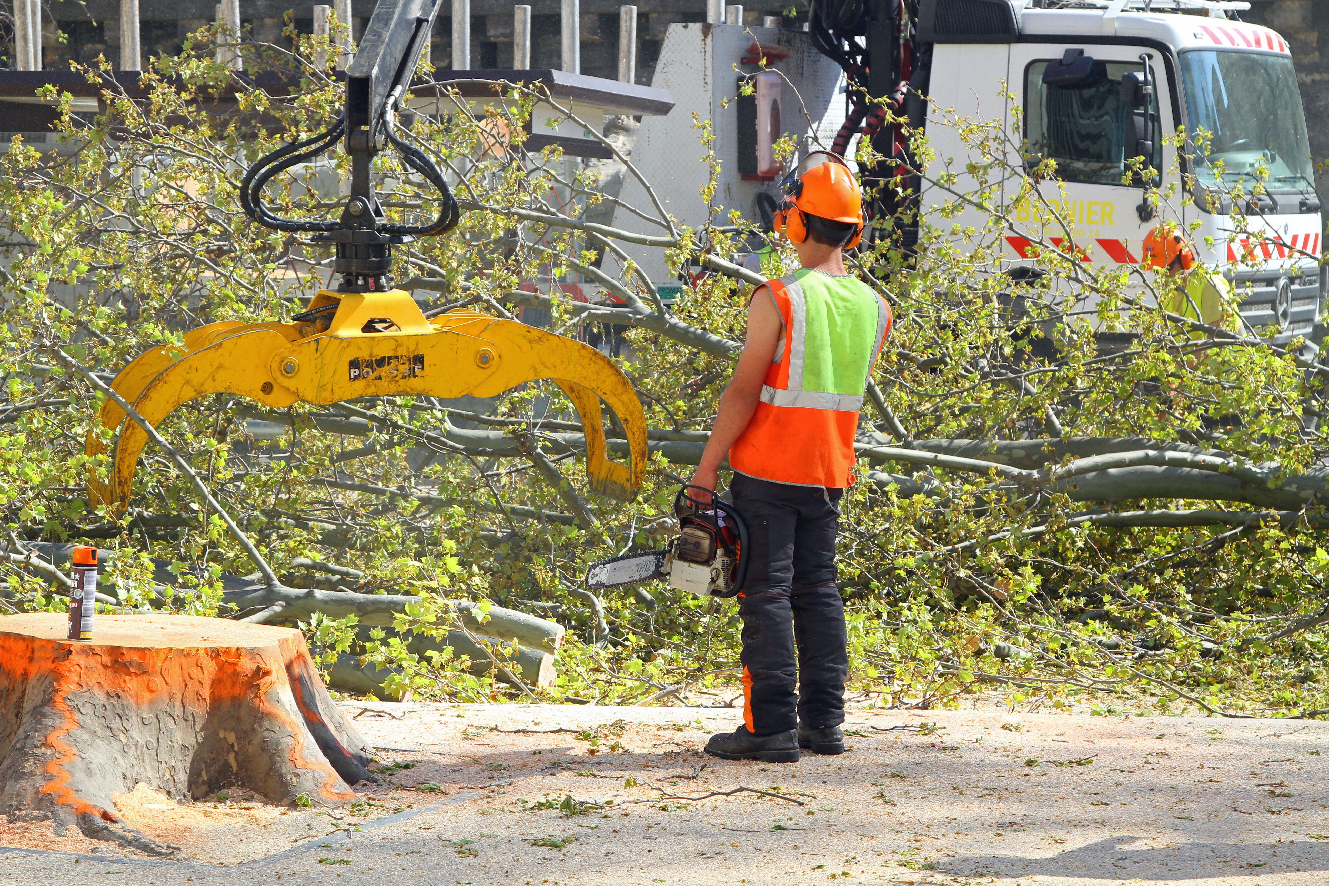 An arborist sitting next to a piece of machinery that is removing a stump