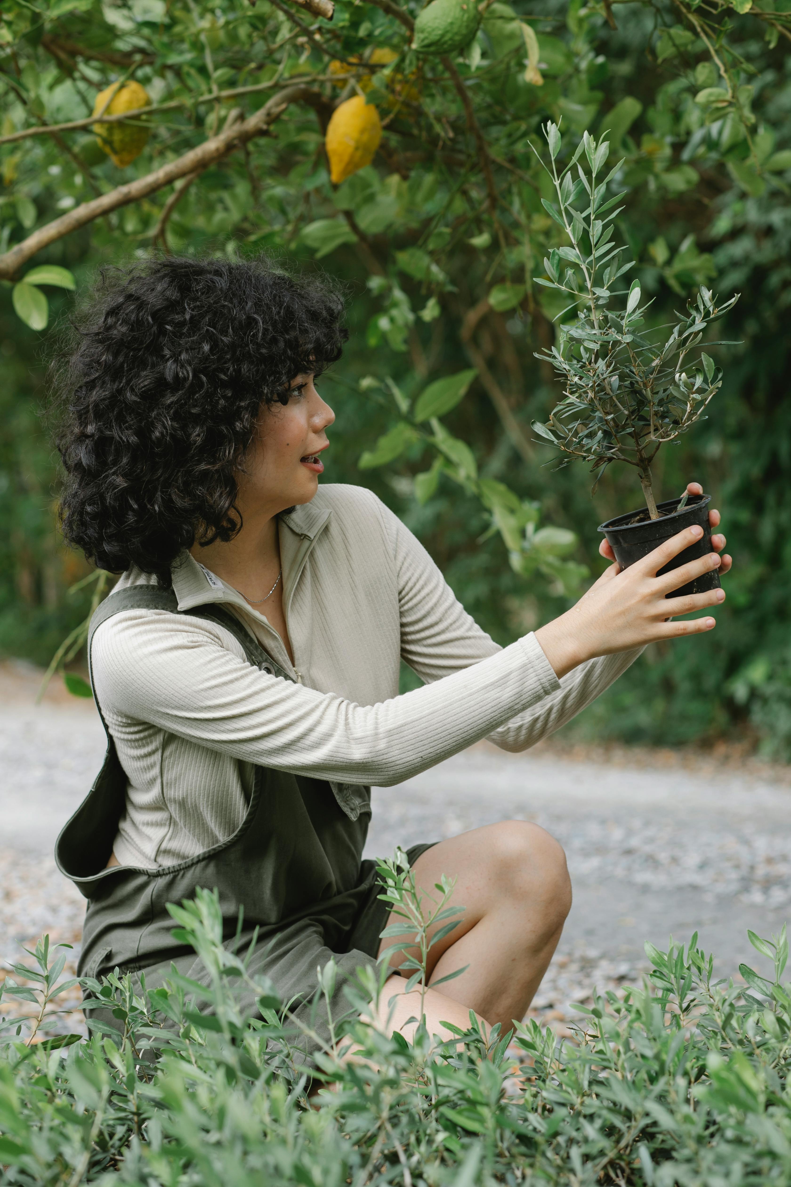 A woman holding a potted tree about to plant it