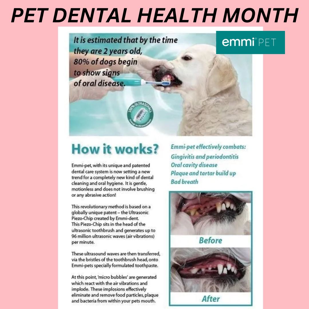 Emipet Ultrasonic Teeth Cleaning for dogs