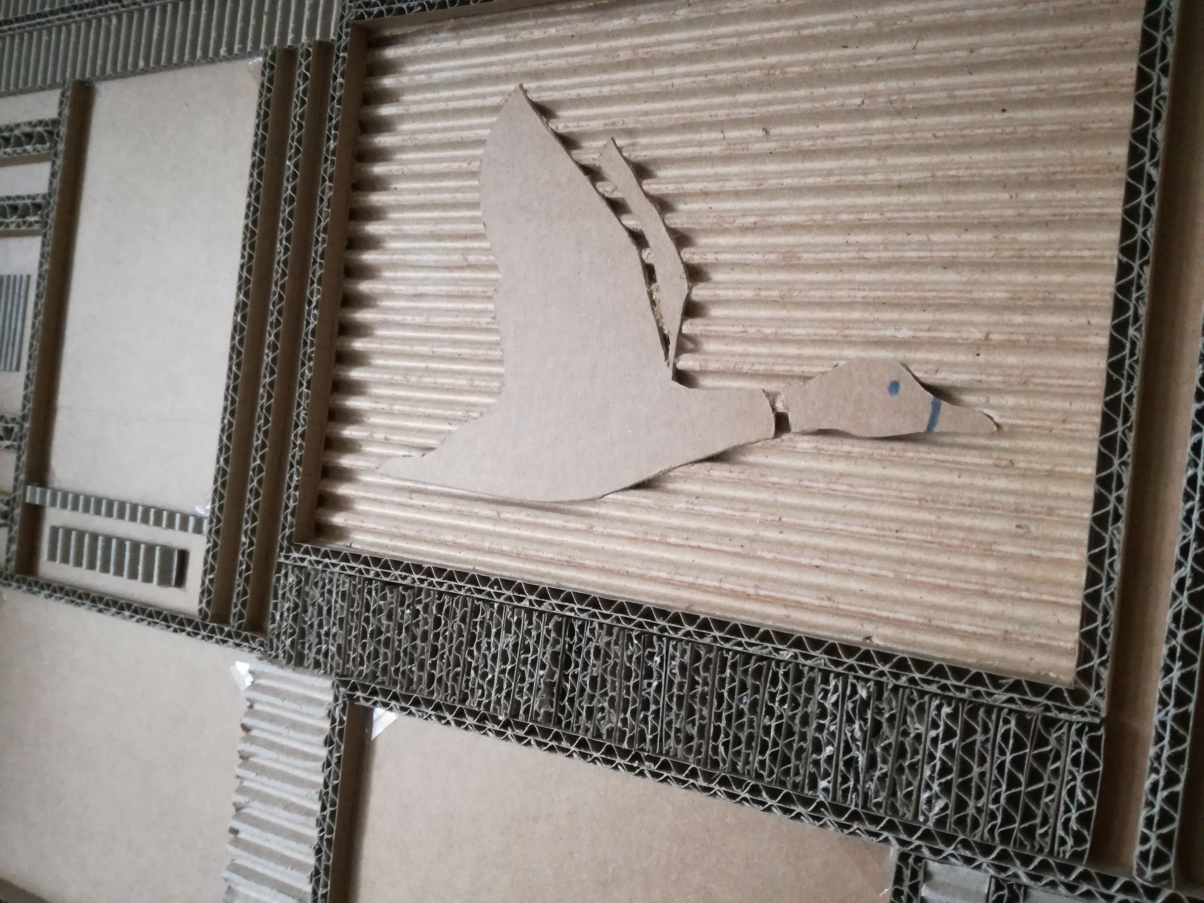 agrandissement zone Canard