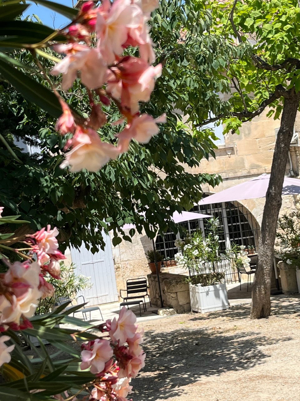 Terraces and garden louges