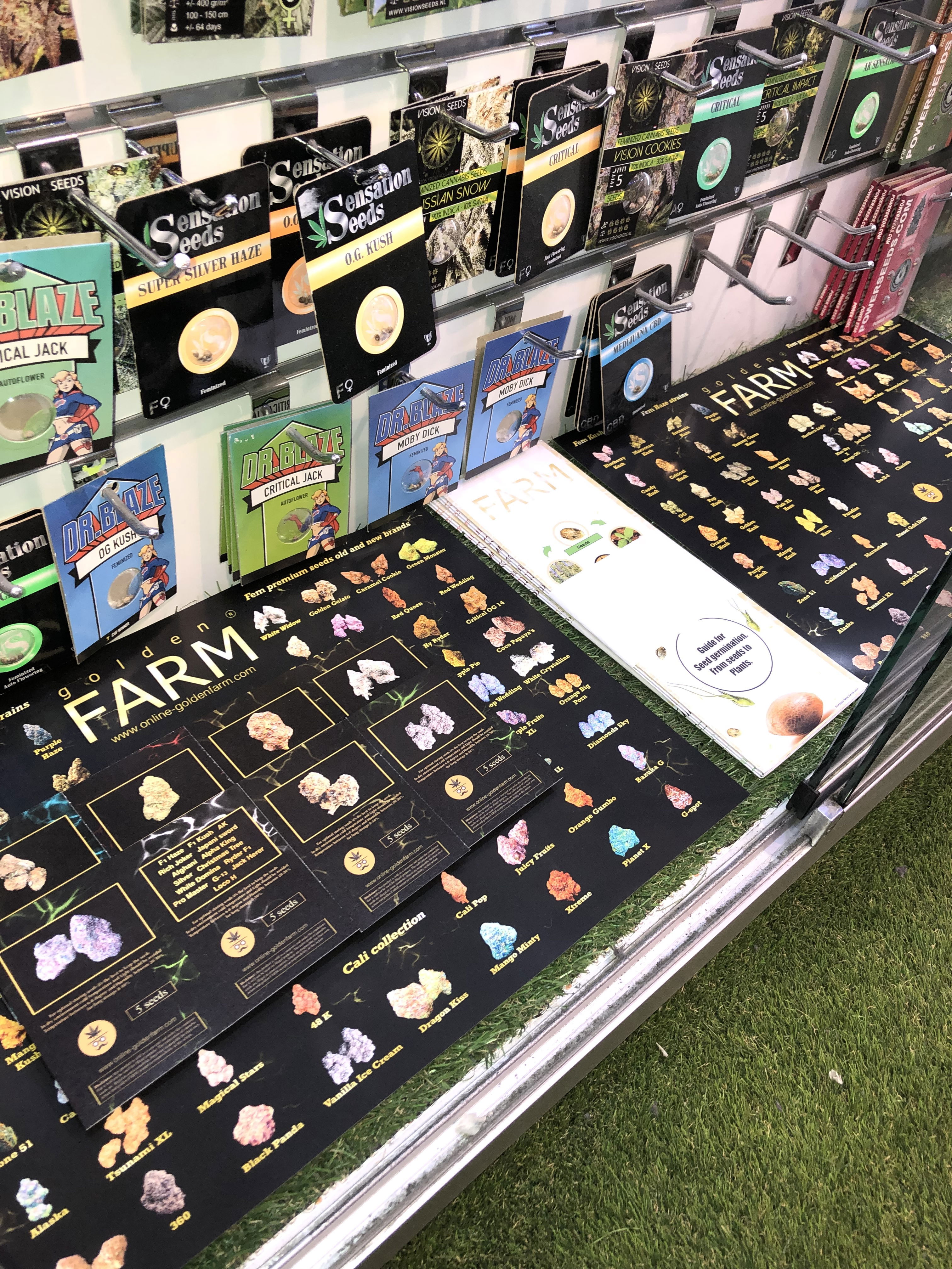 Catalogue in shop cannabis seeds