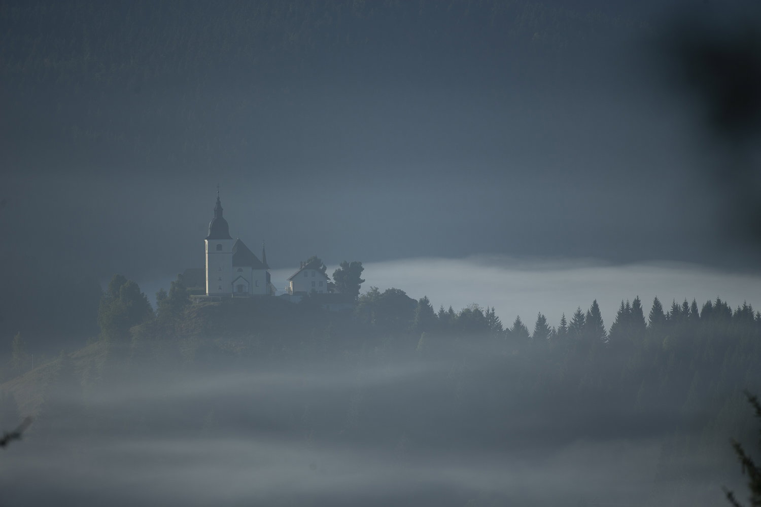 Oso esloveno y otros