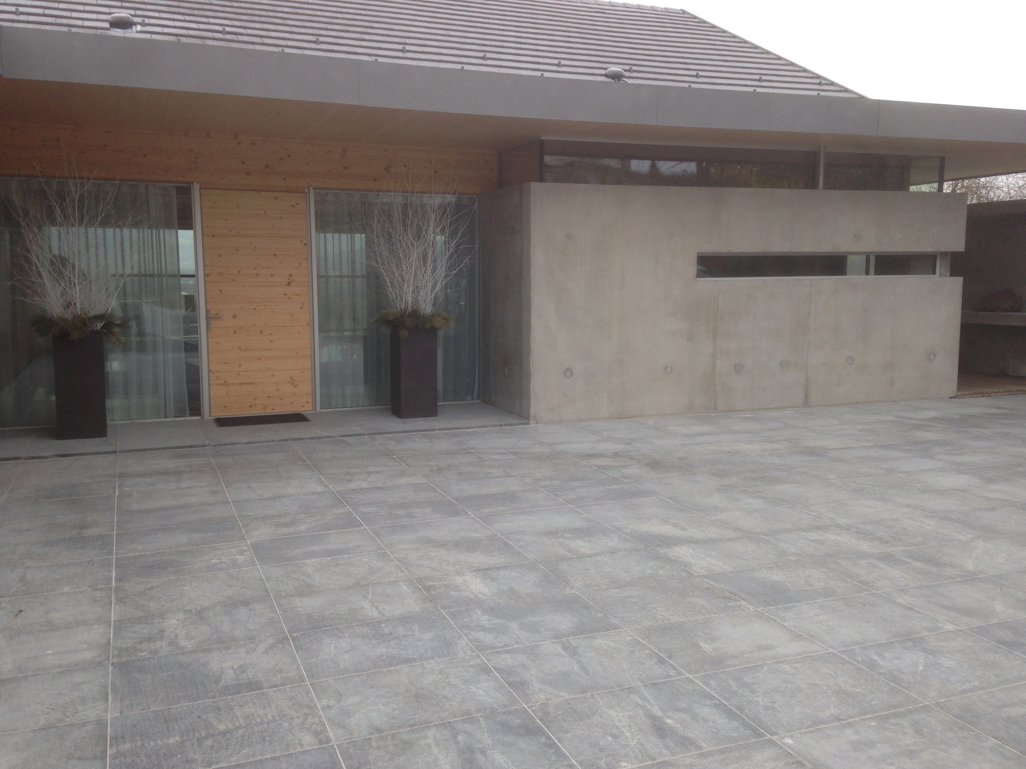 Raw concrete formwork villa