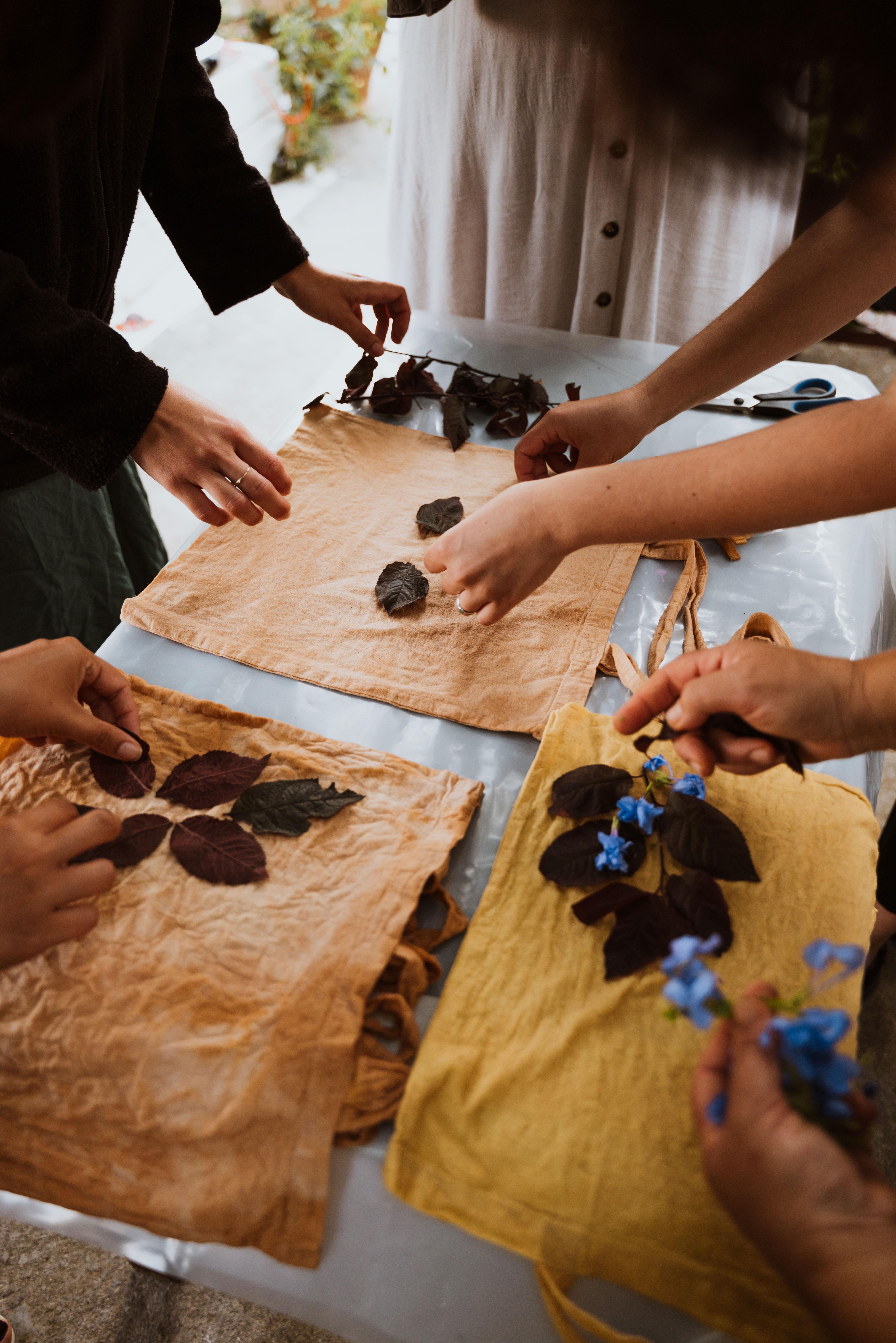 natural dyeing workshop