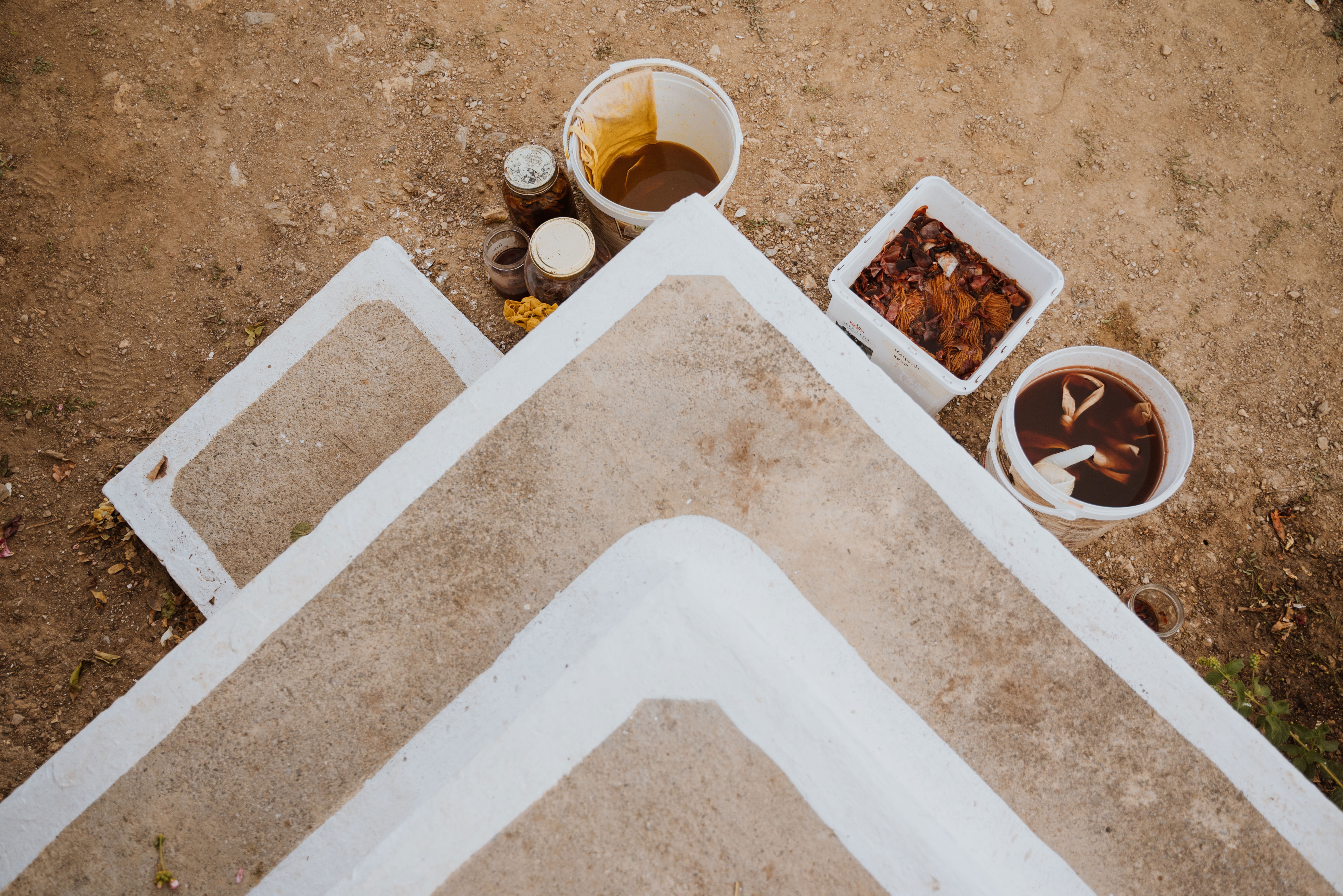 natural dyeing workshop