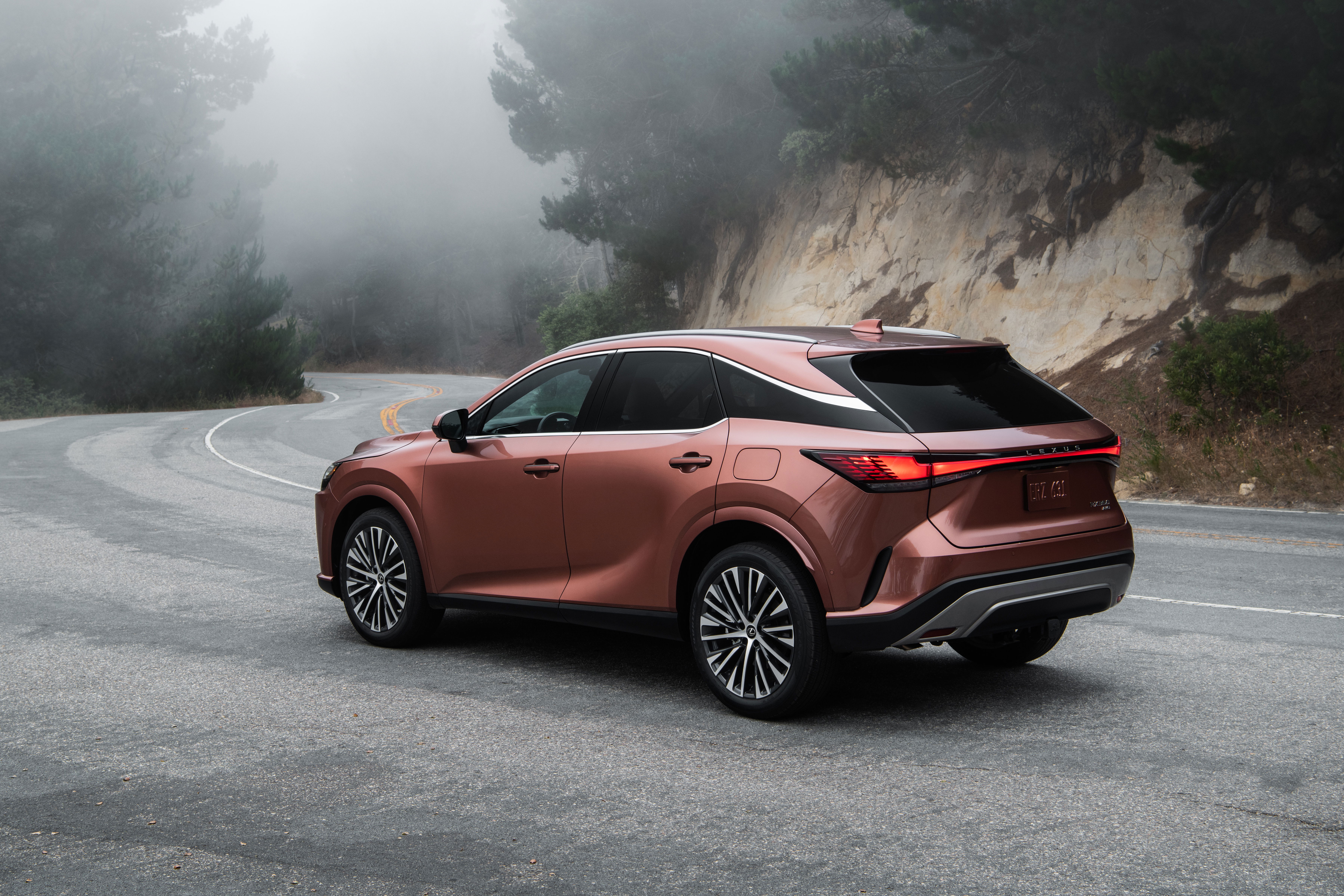 Everything you need to know about the 2023 Lexus RX 350