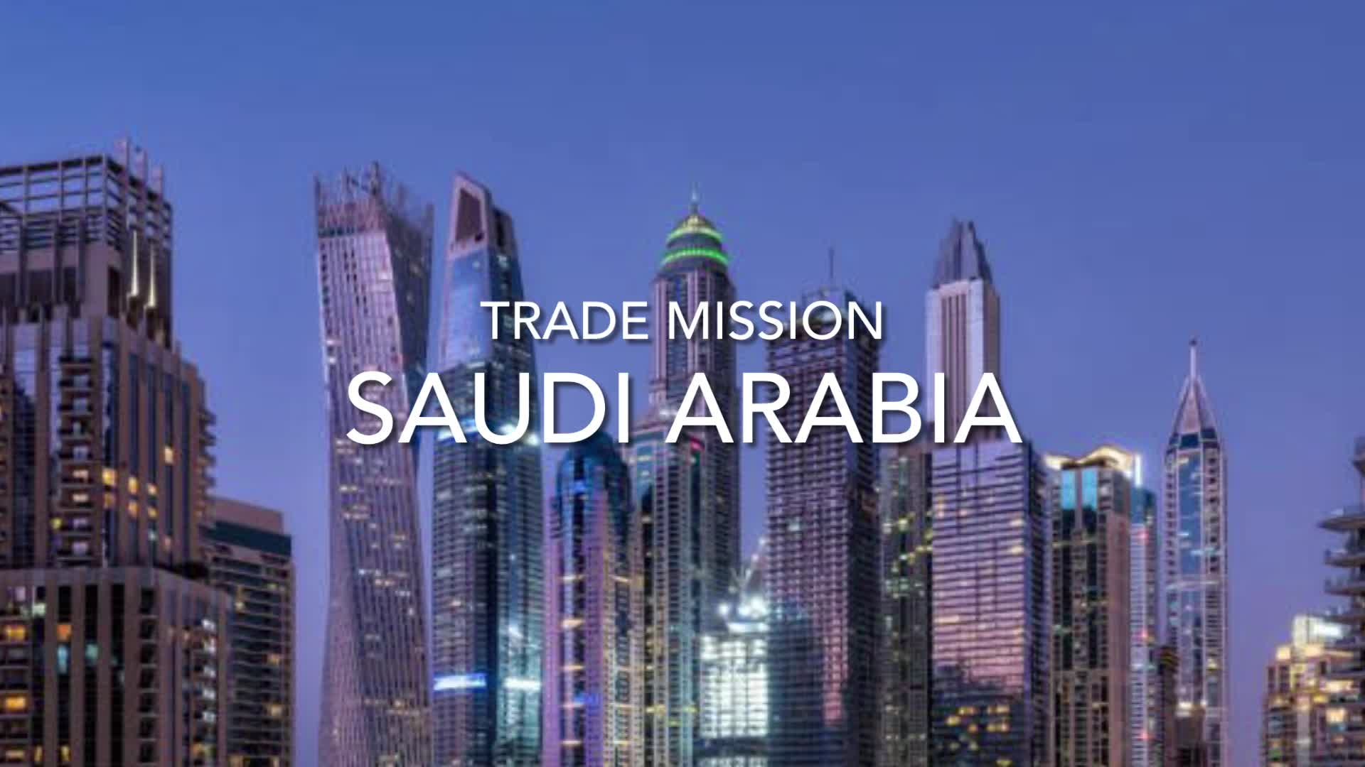 MISIÓN comercial Riad/ Arabia Saudita thumbnail