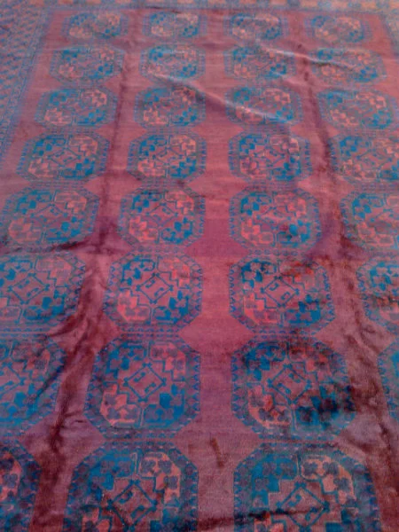 שטיח אפגני ענק