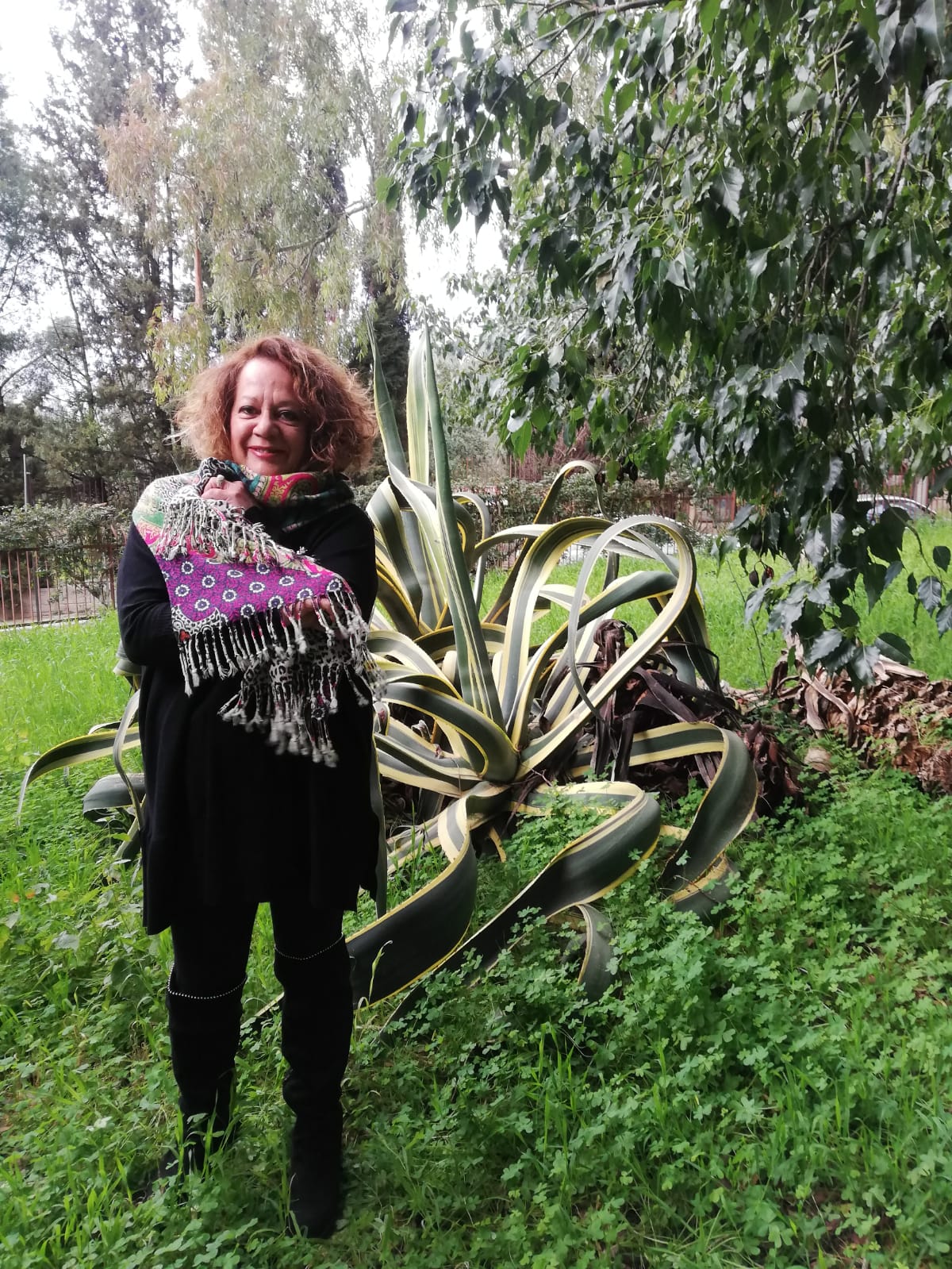 MIRELLA DI GIOVANNI