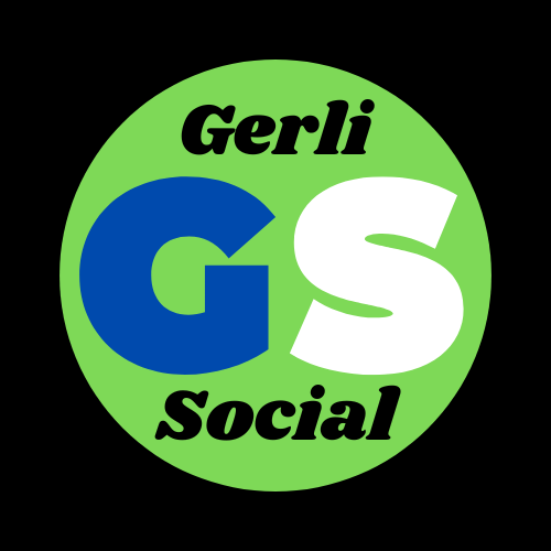 Logo de www.gerlisocial.com