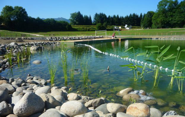 Les öcybelles à St Laurent de Neste