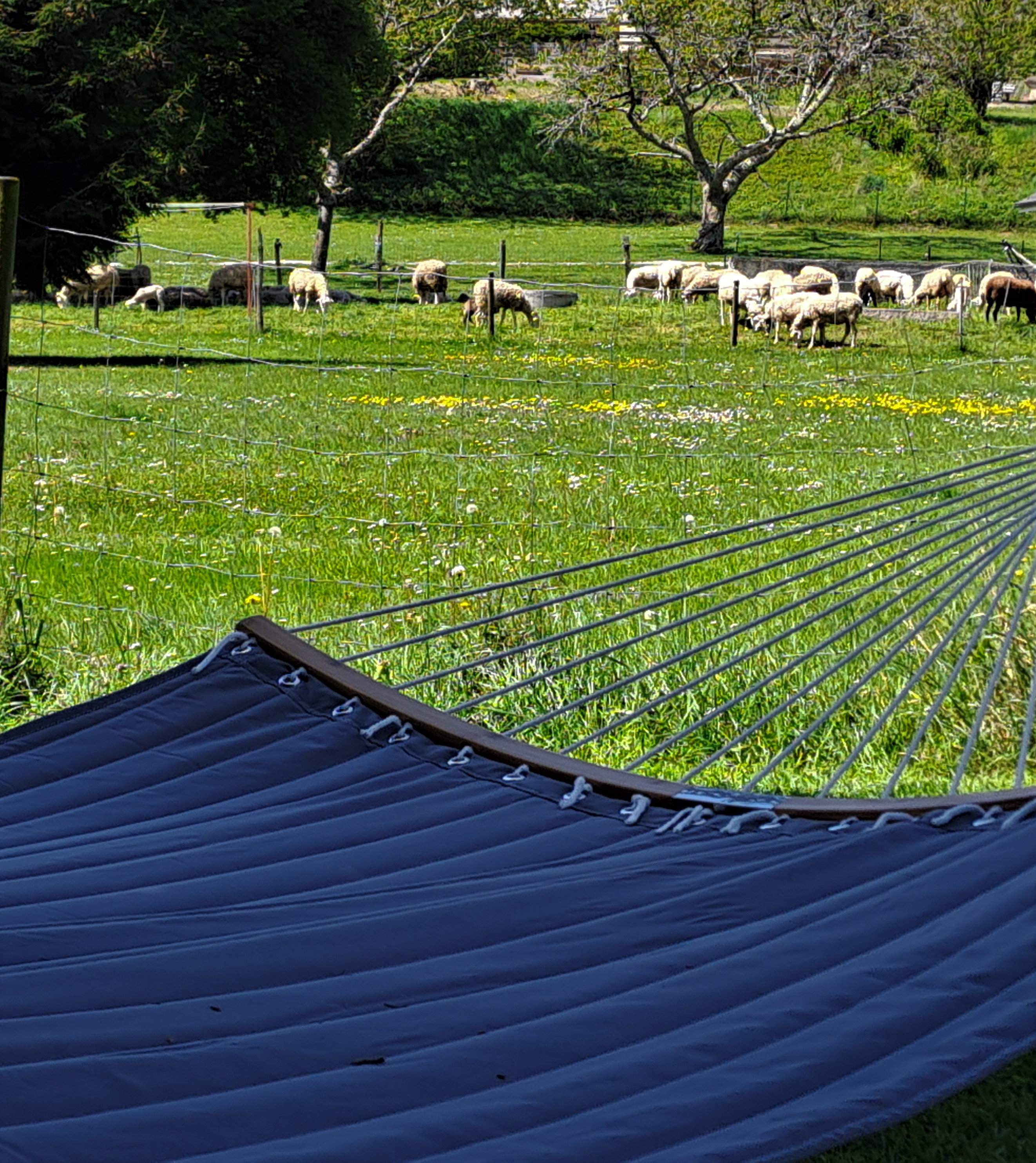 L’espace extérieur vous invite à la découverte et à la détente, pour des moments pleinement savoureux.