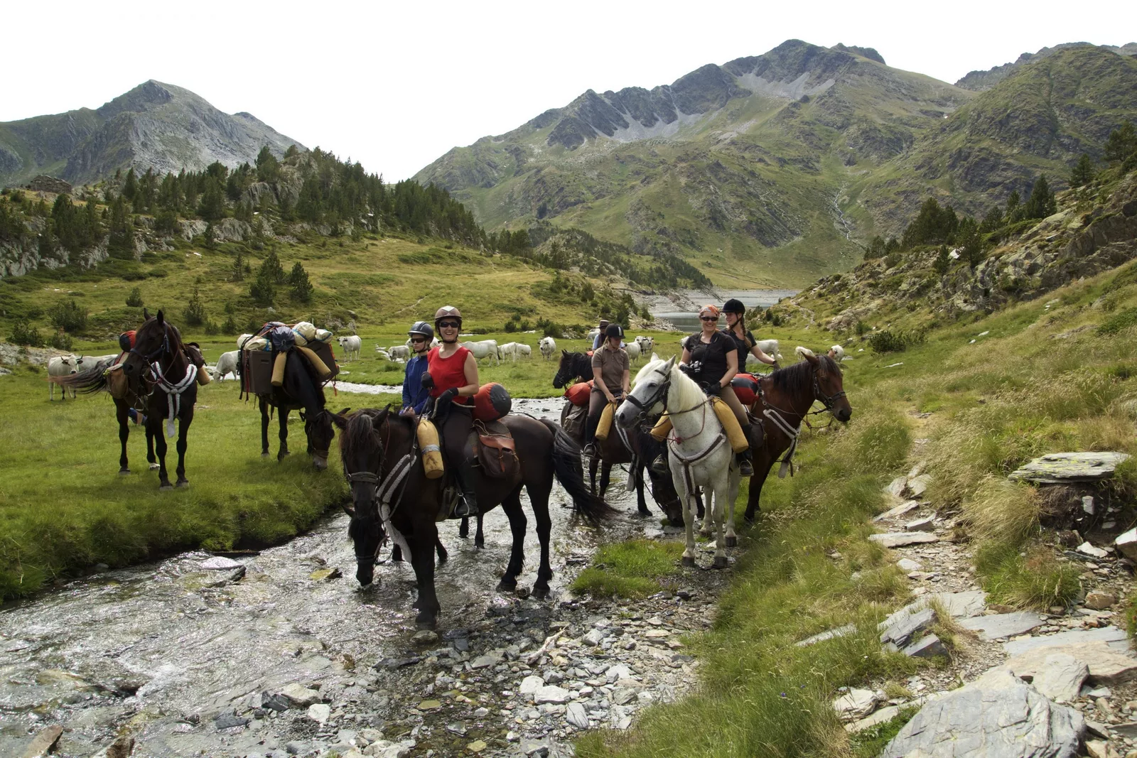 Hiking or horseback riding, climbing, canyoning, rafting, paragliding, cycling, mountain biking...
