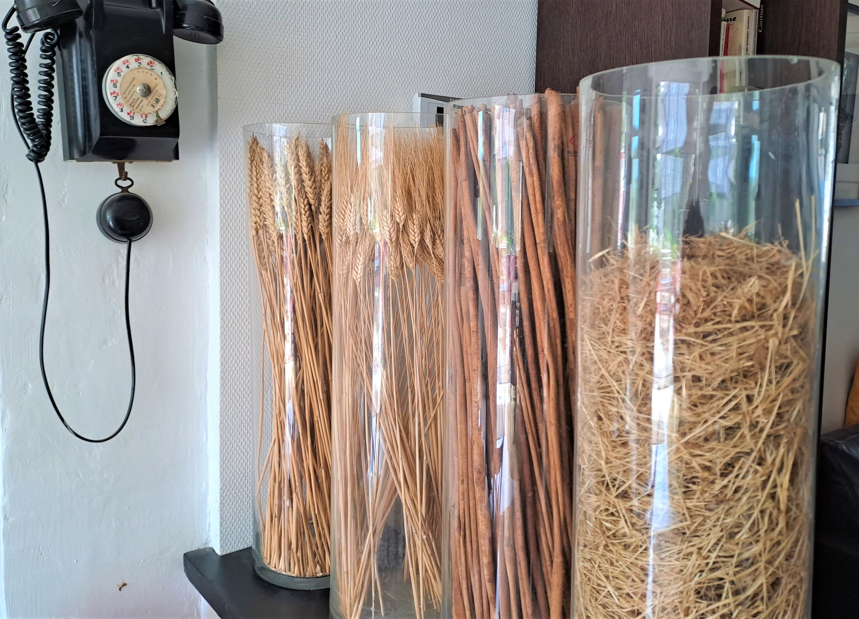  Voyagez à travers le temps, les cultures et les styles…