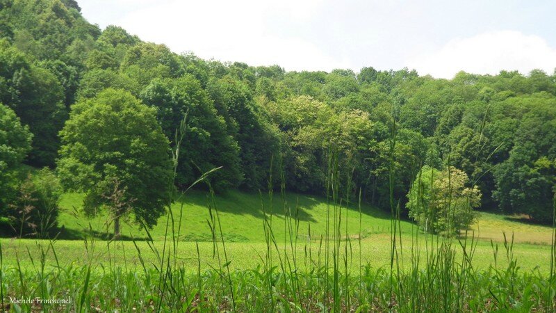 Petit village typique avec ses murs en pierre et ses toits d'ardoise.