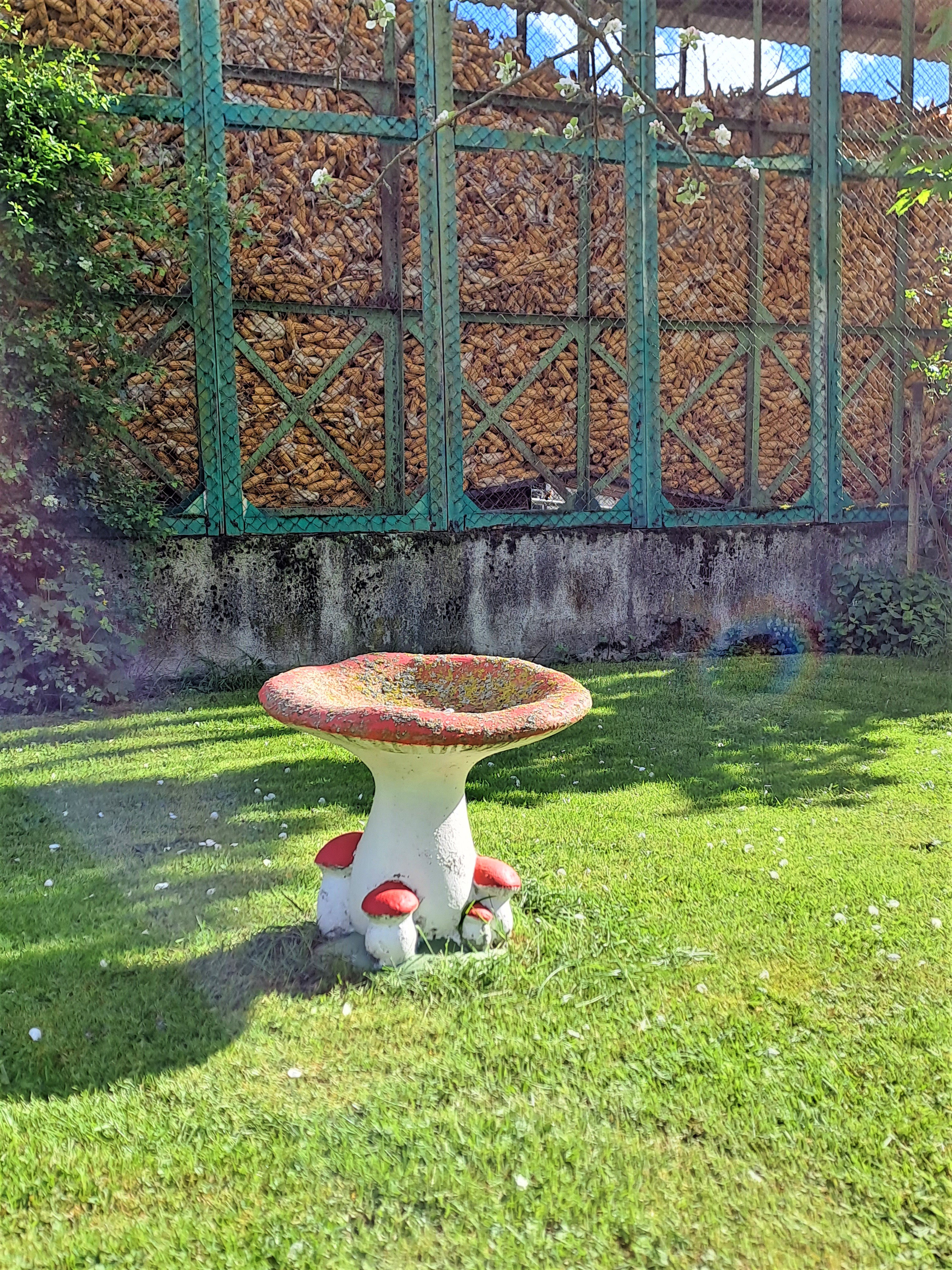 L’espace extérieur vous invite à la découverte et à la détente, pour des moments pleinement savoureux.