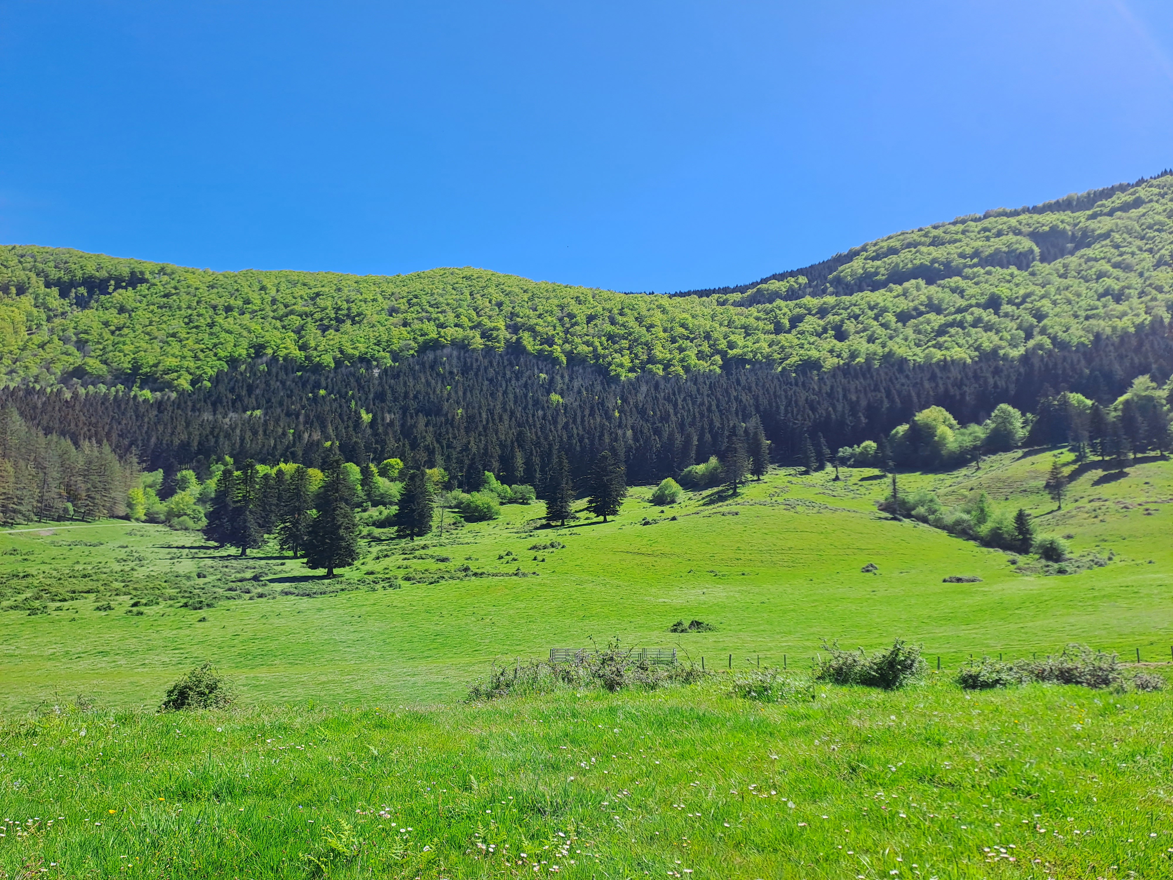 A beautiful hike on the trail from the movie "Le Pacte des Loups"