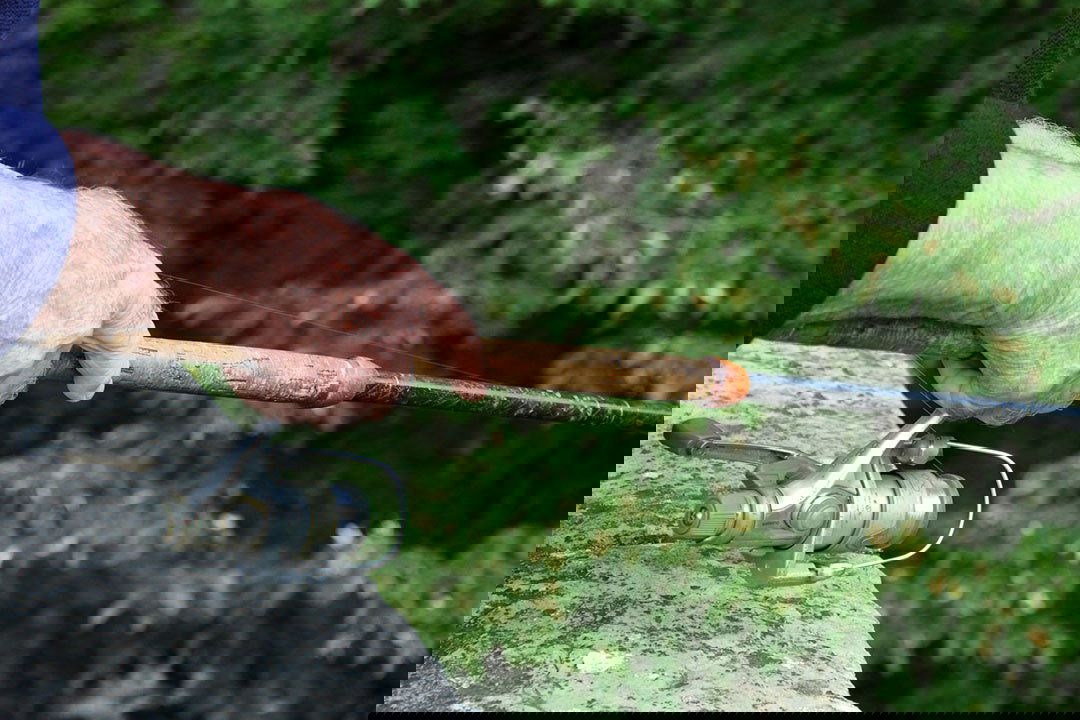 the "No-kill" fishing course