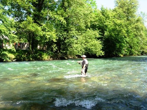 the "No-kill" fishing course