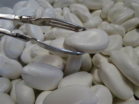 Craquez pour les gourmandises de la région. Des saveurs d’enfance, des recettes transmises, des instants de pur bonheur à savourer.