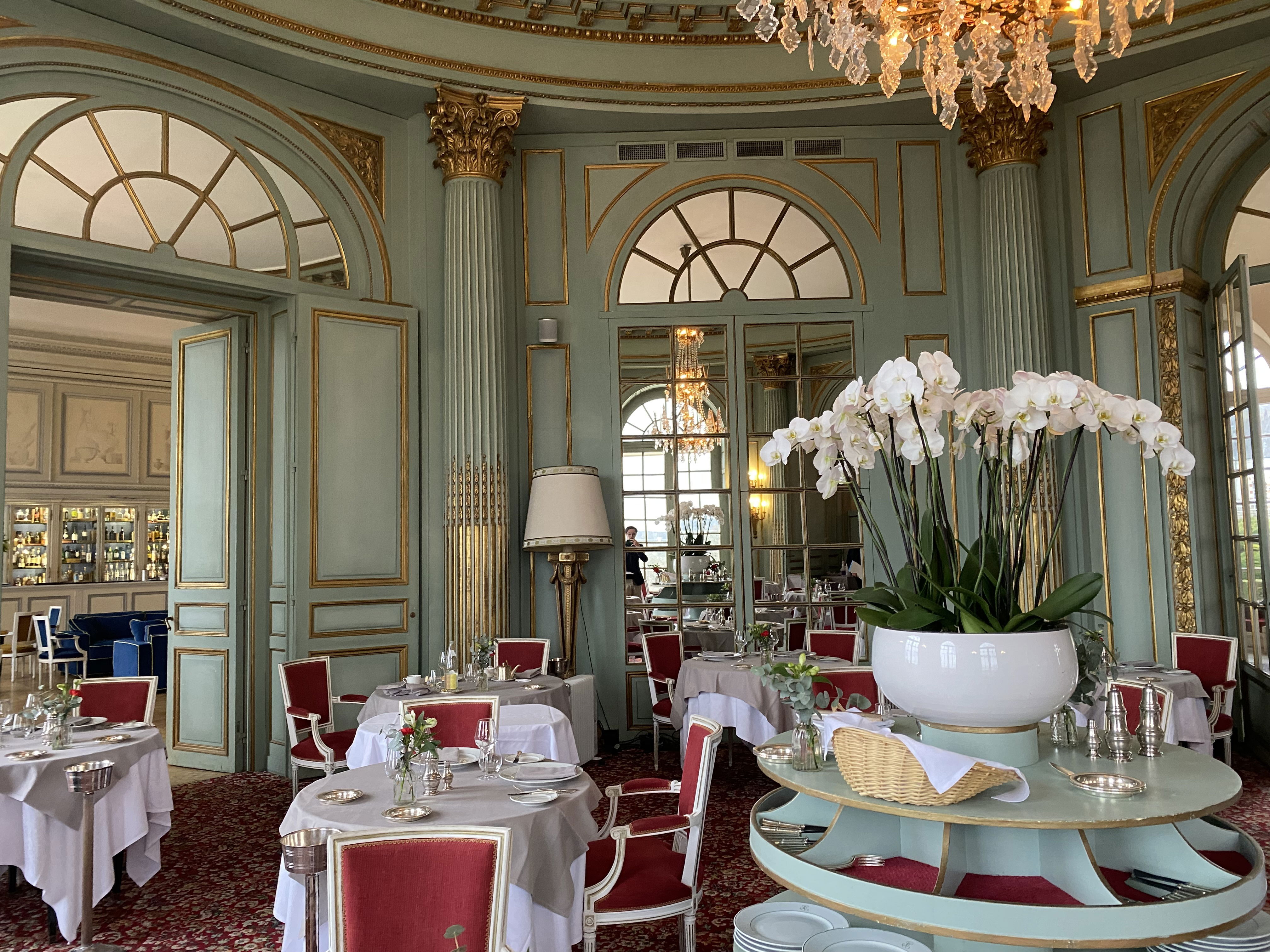 Chateau d'Artigny (37)