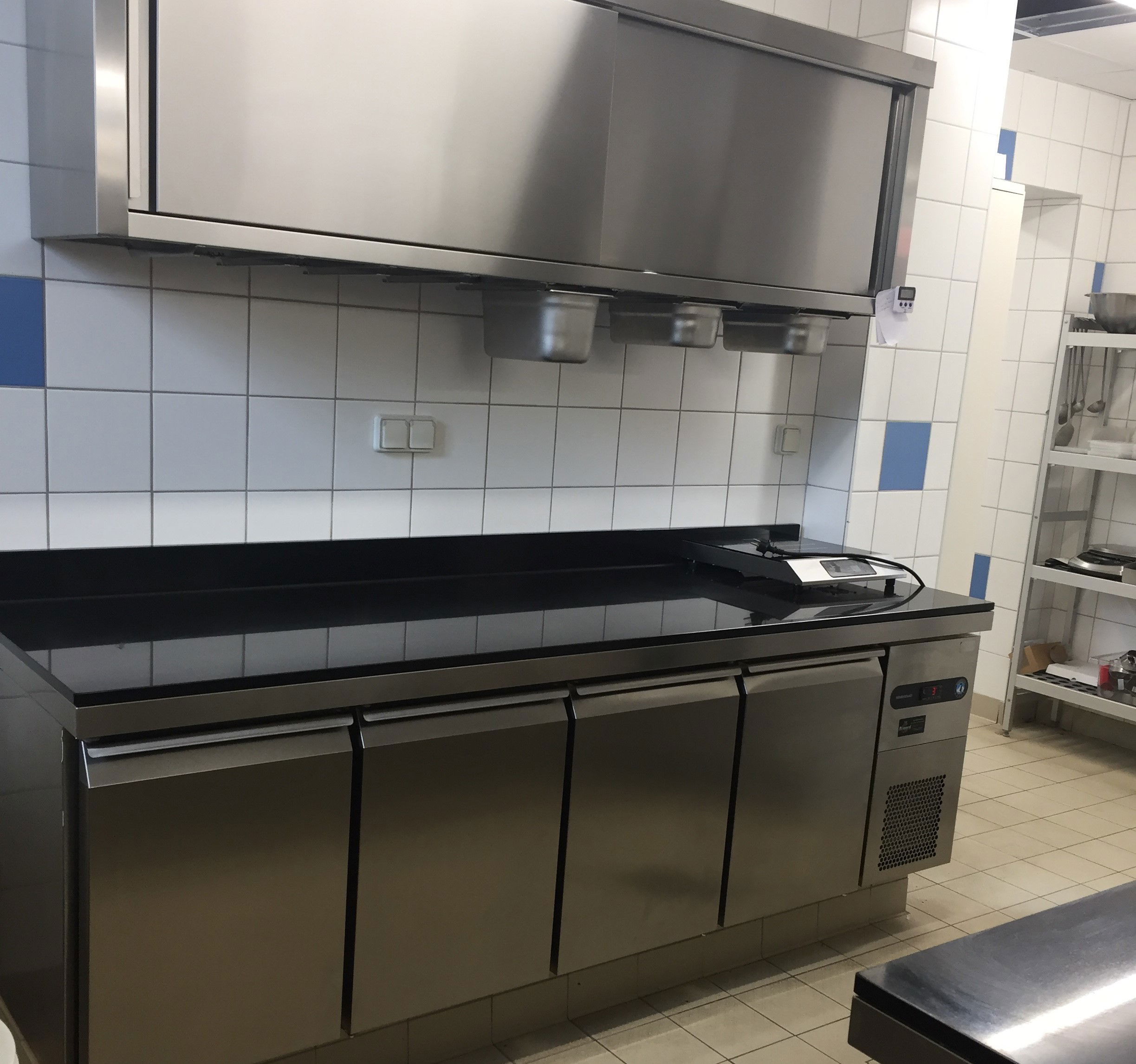 Castle of Dissay (86)