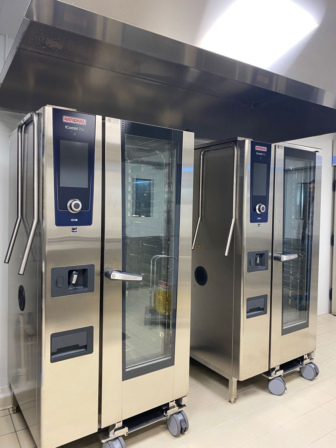 André Bauchant College