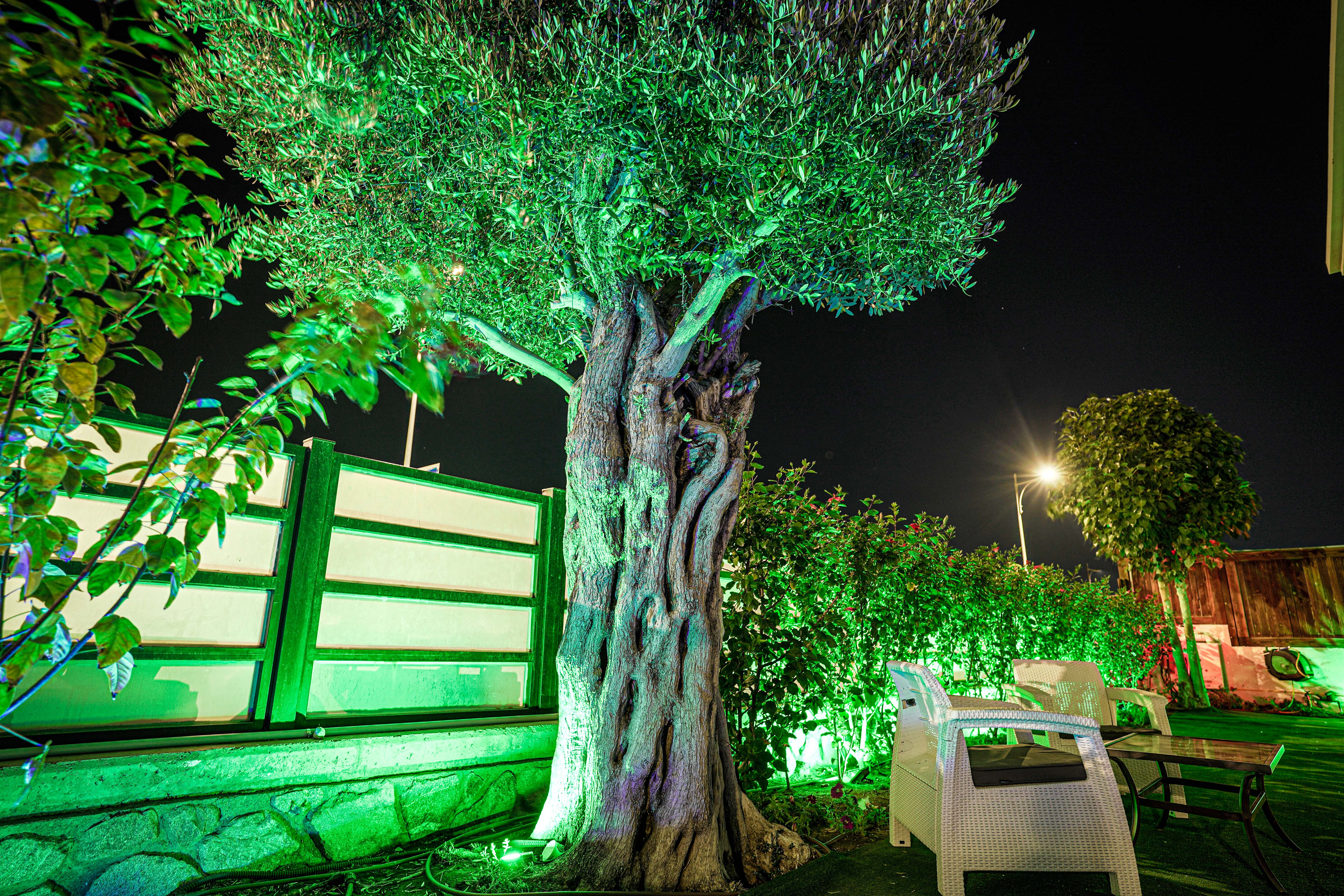 about the villa