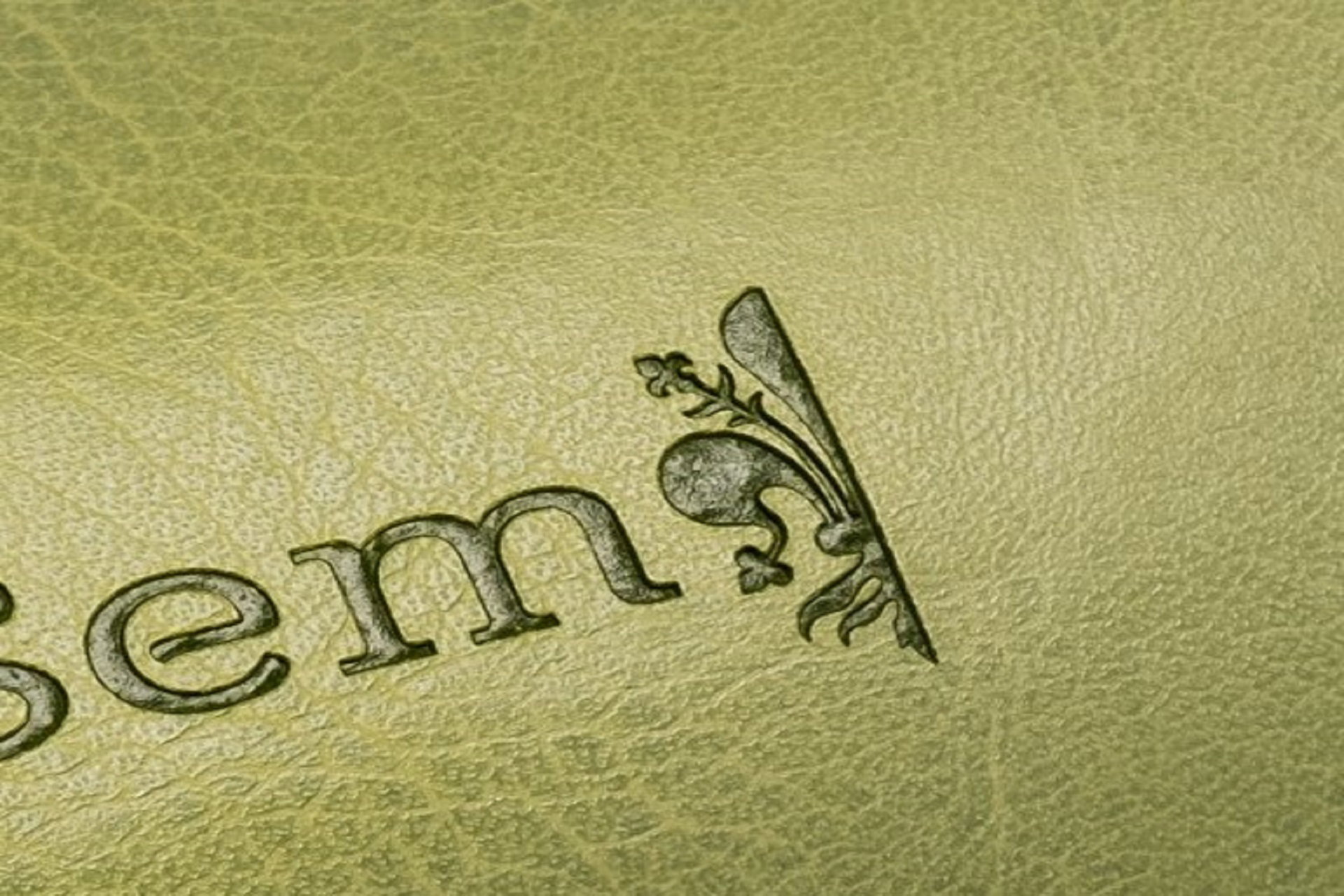 Art. 20 - Estuche rígido para gafas