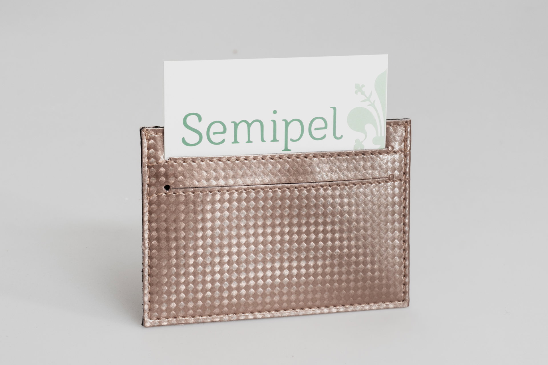 Art. 47P - Titular de la tarjeta