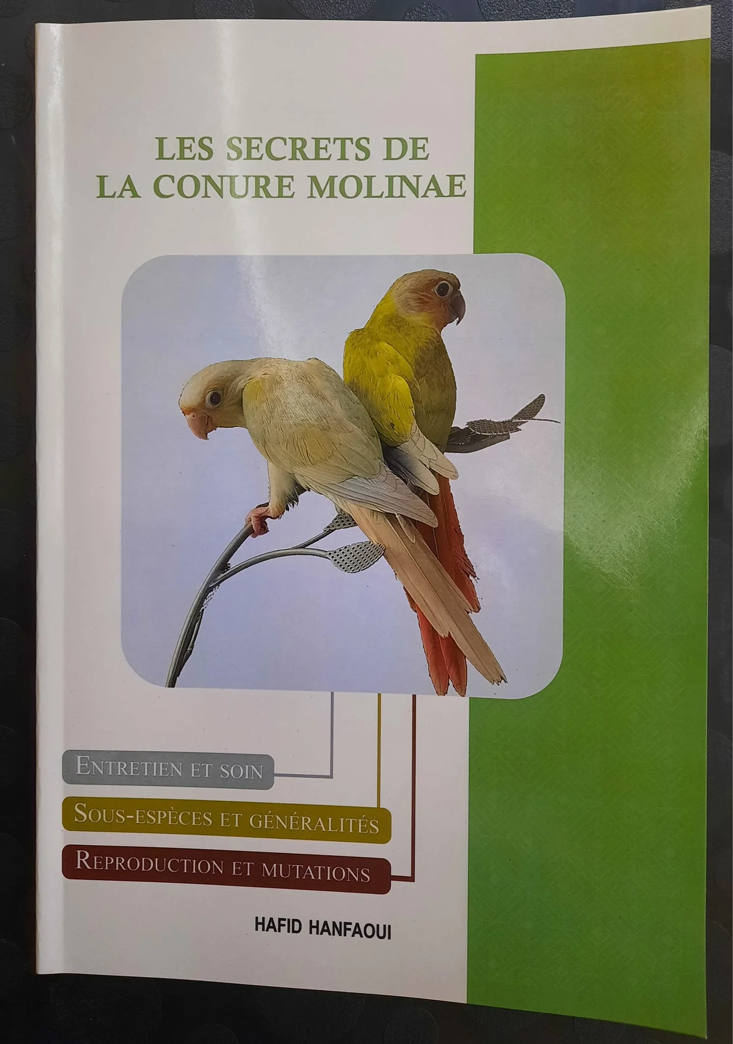 Les problèmes liés à la reproduction chez la conure à joues vertes. - Série  de livres oiseaux par Hafid Hanfaoui