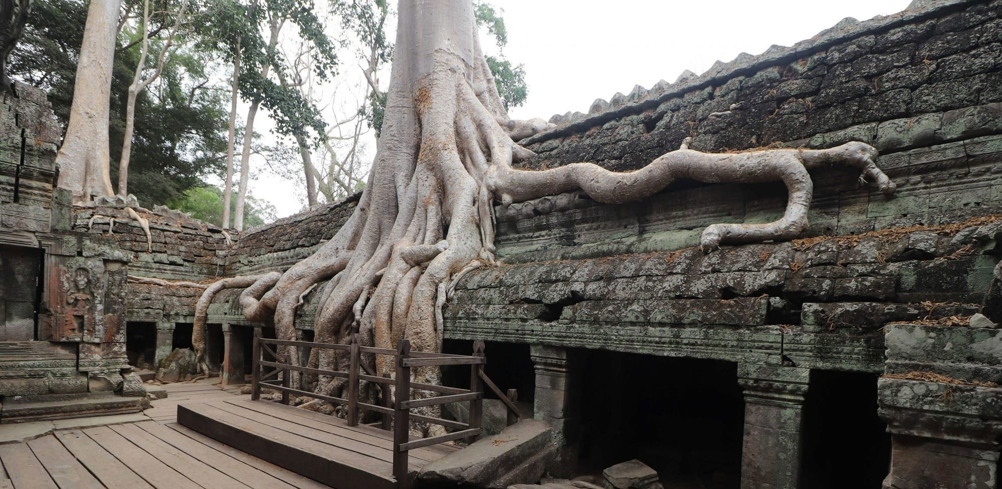 Le temple de Ta Prhom