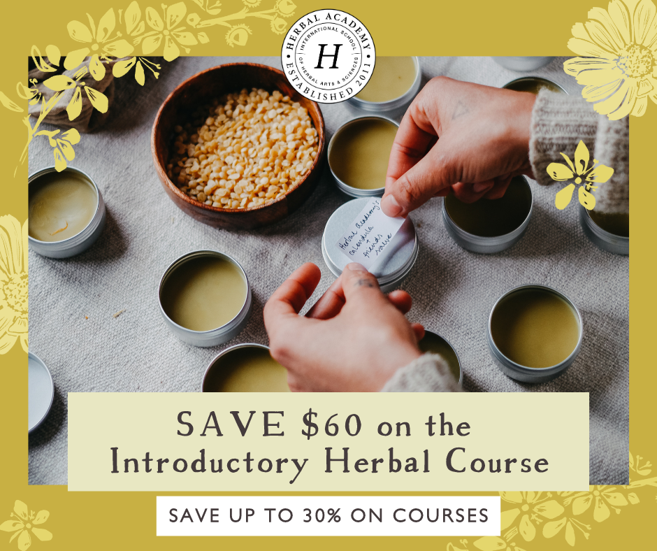 Unlock 30% Savings on Herbal Academy Courses!