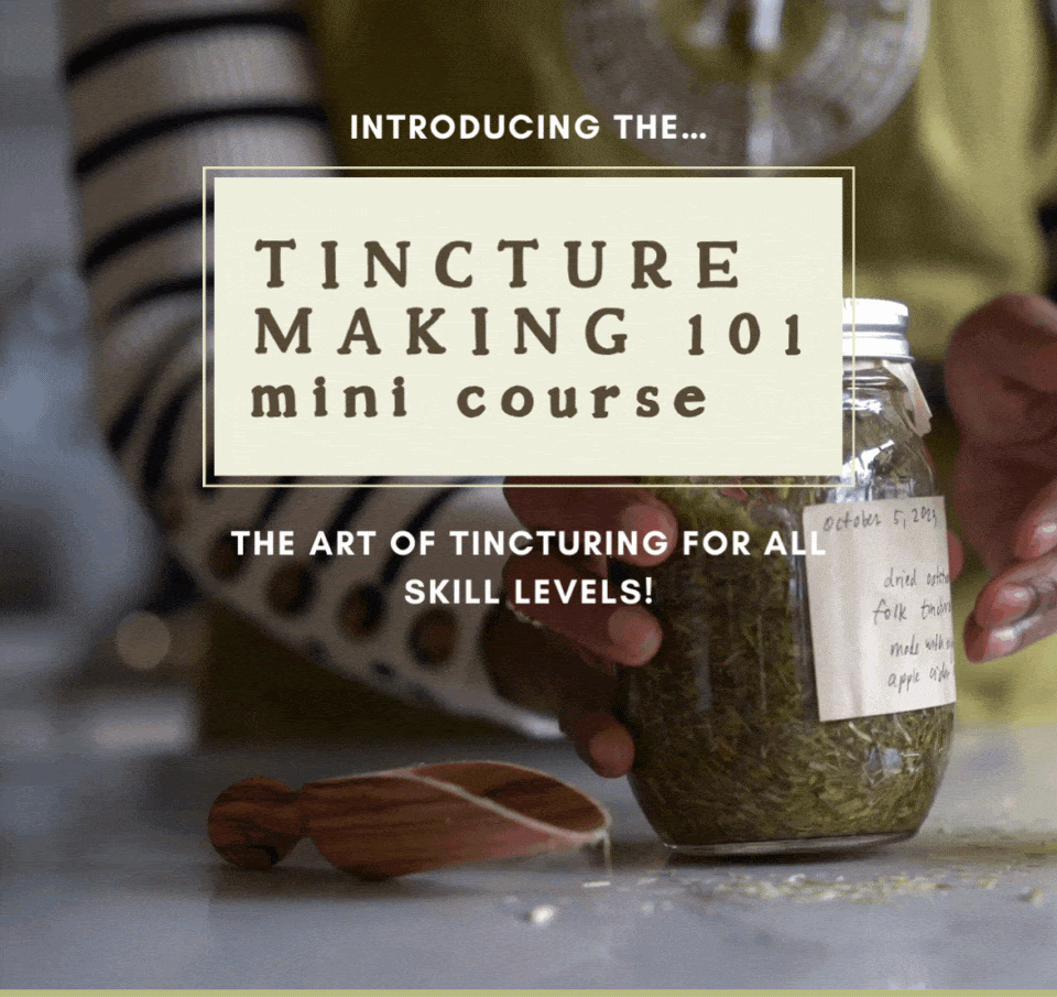 Tincture making 101 mini course