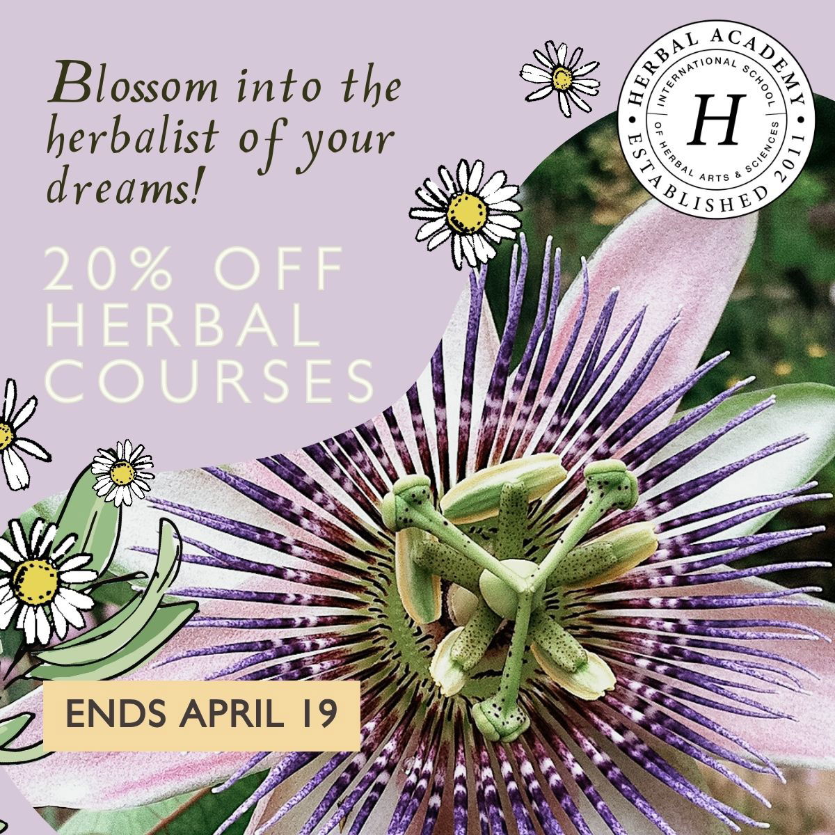 Herbal Academy is offering 20% off ALL of their courses and path packages now through April 19 (no coupon needed).