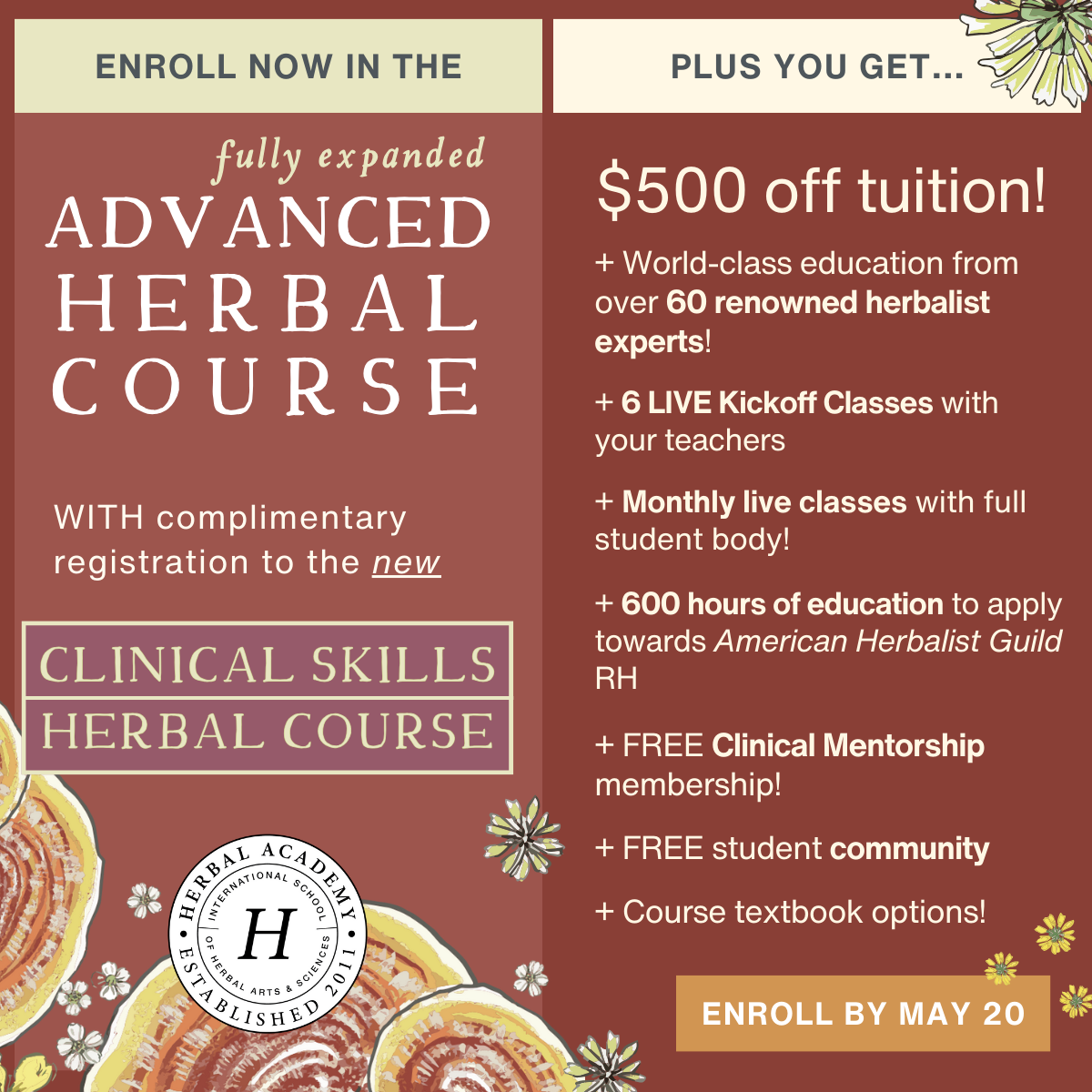 Revamped Advanced Herbal Medicine Course