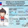 来自www.998visa.net的“site:998visa.net  驾照”