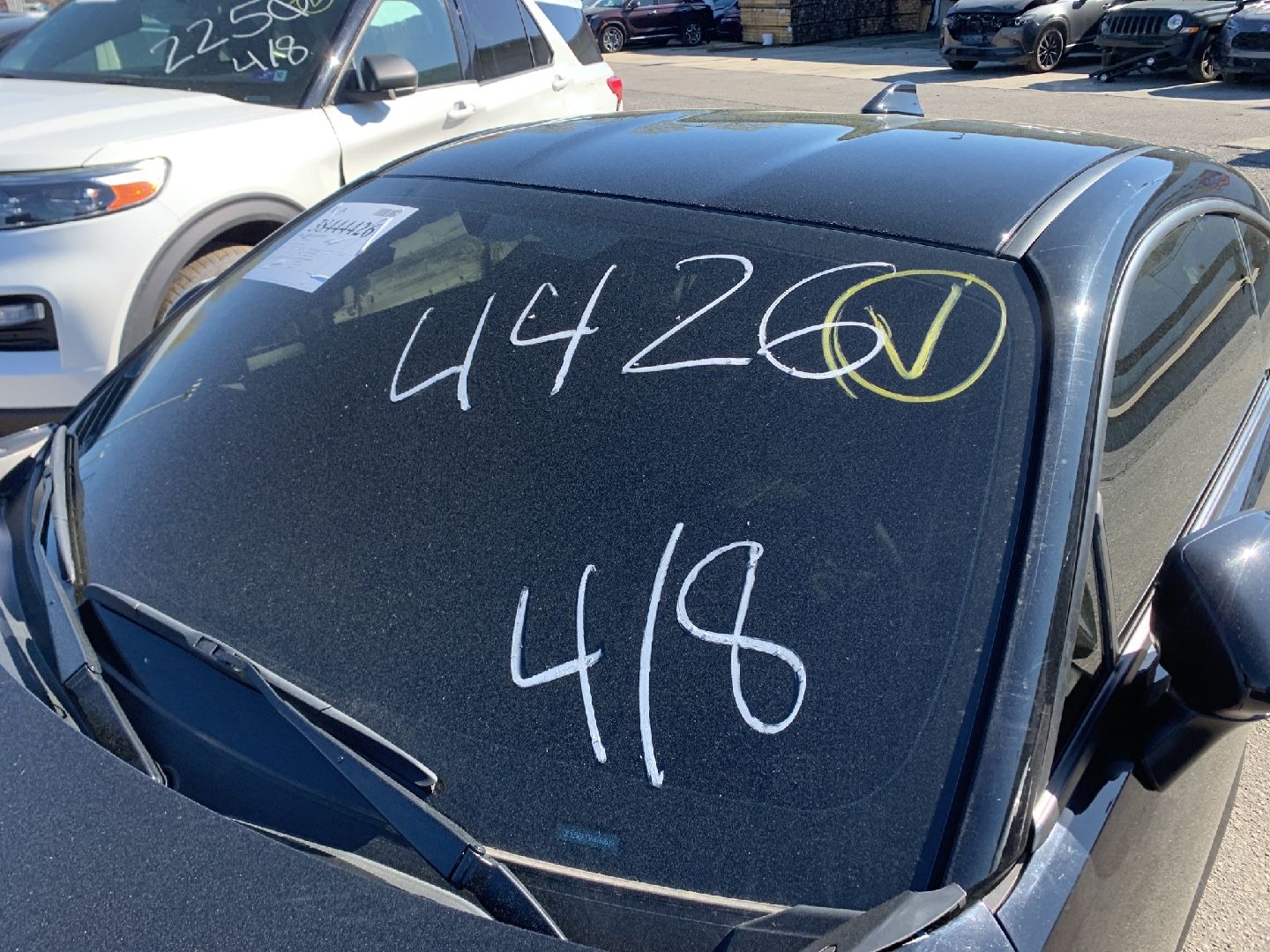 38444426