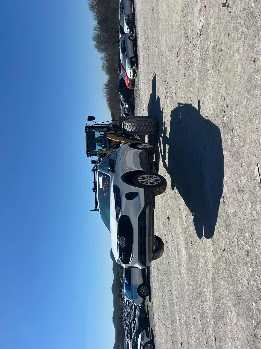 38840919