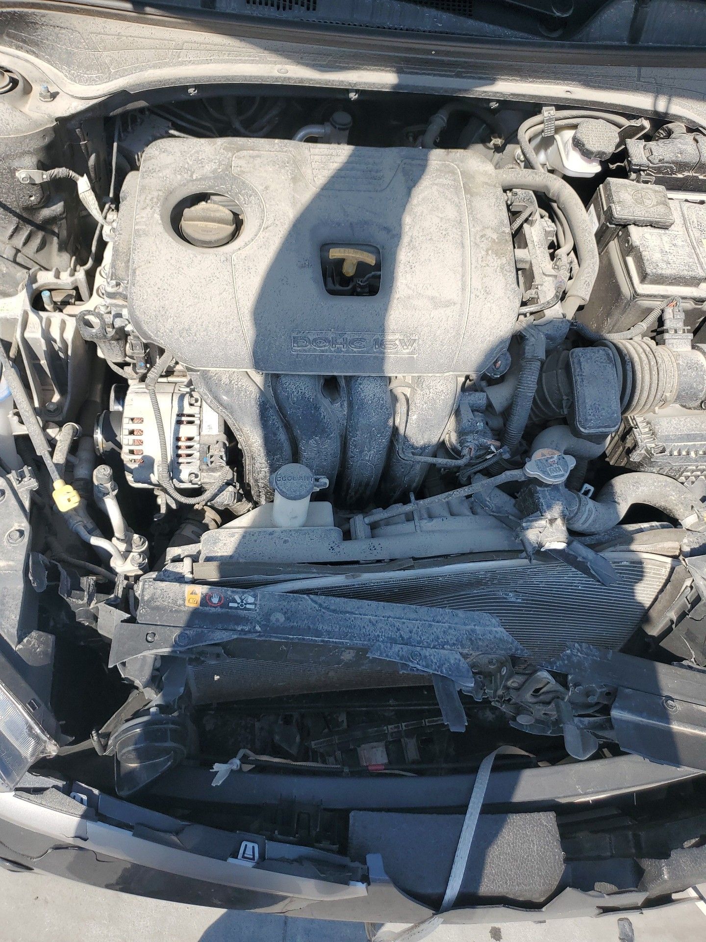 38017371