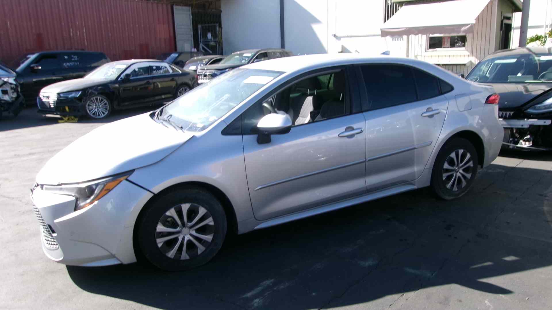 40693324