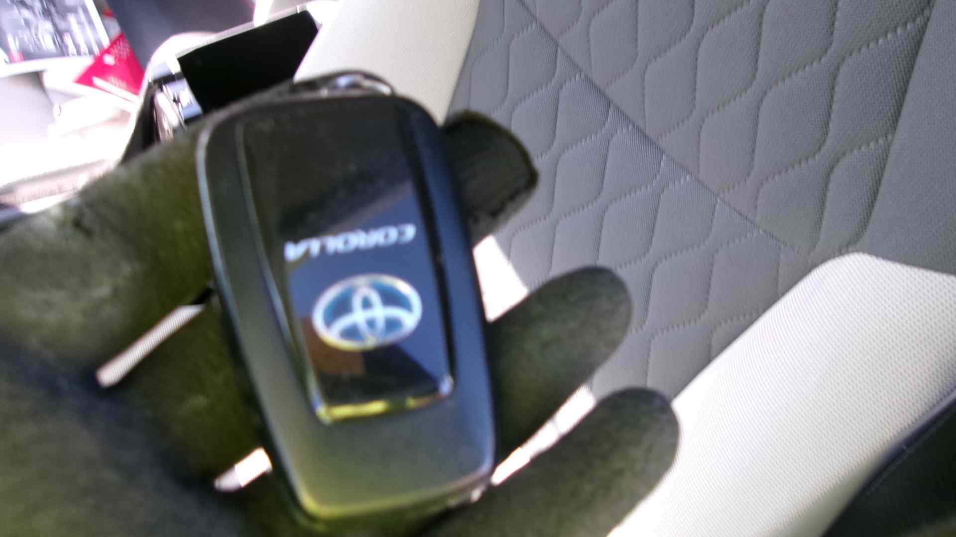 40693324