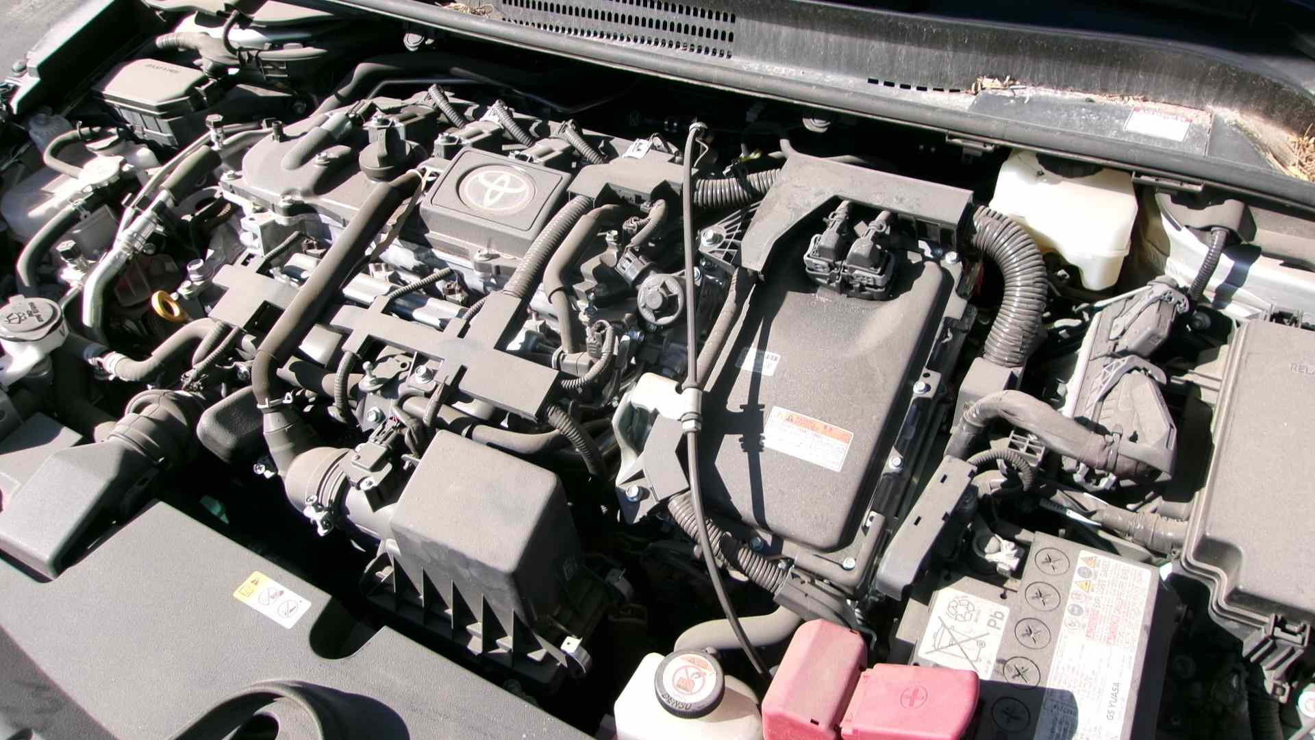 40693324