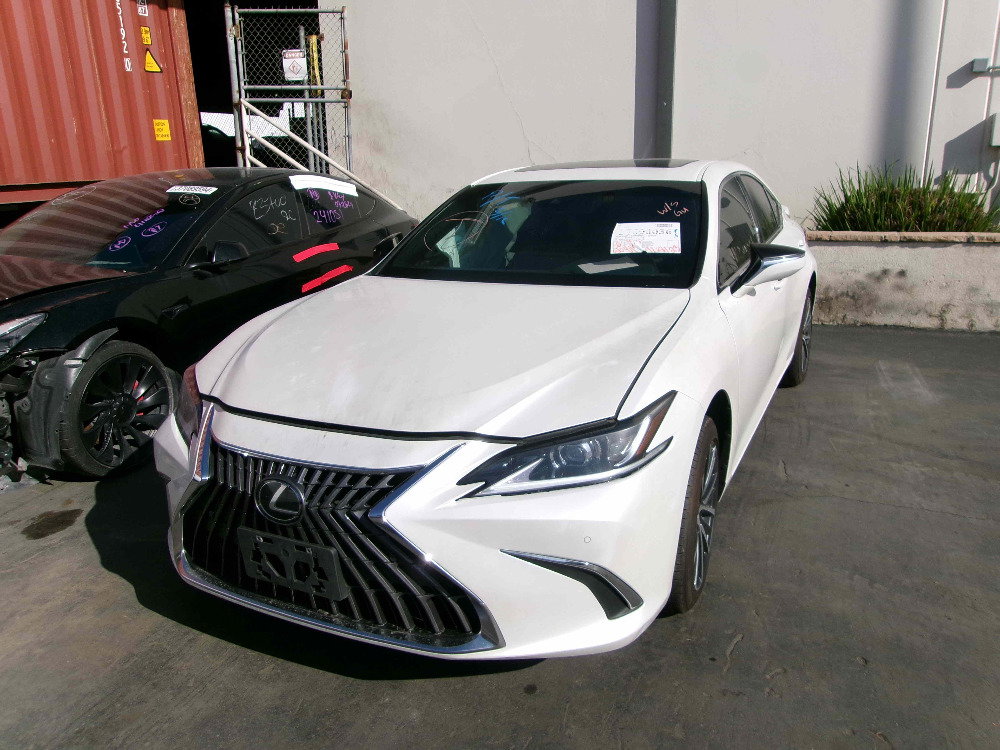 37600036