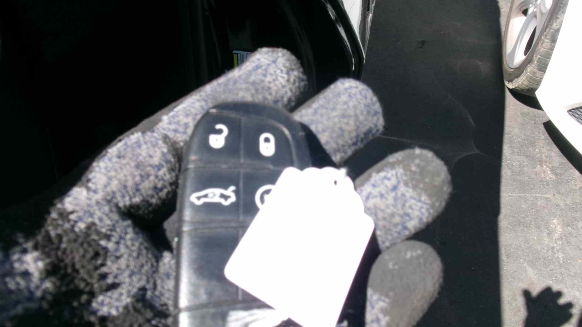 44730094