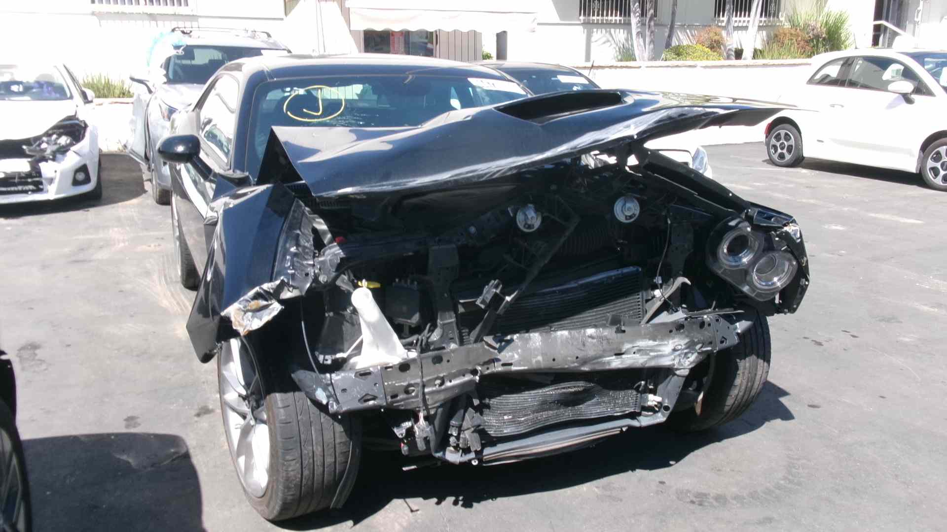 44730094